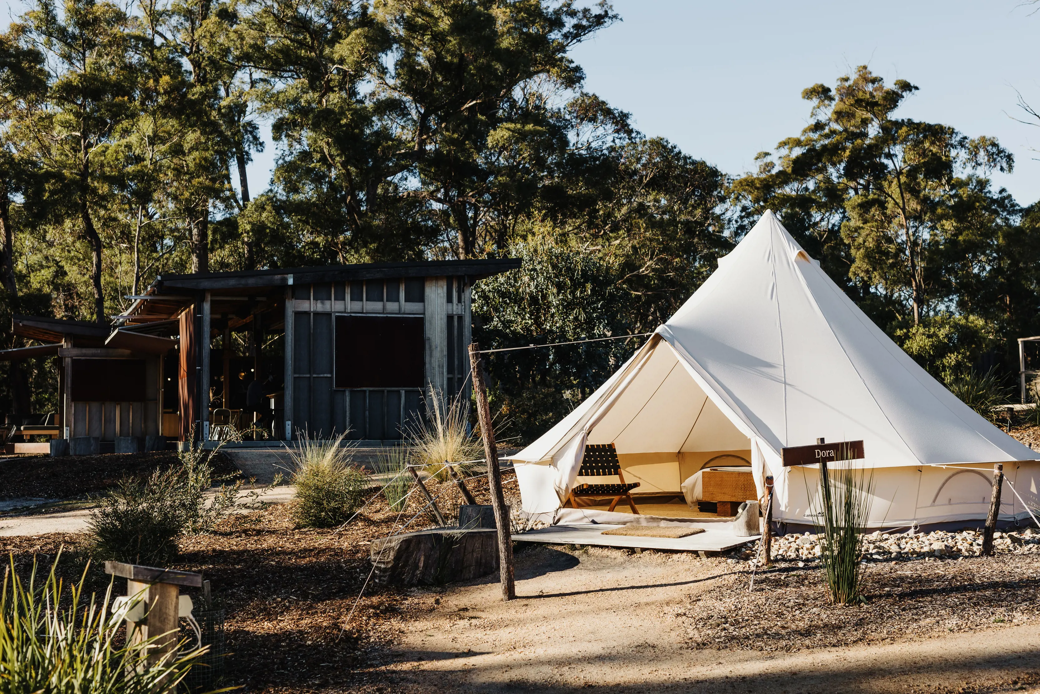 Looking at a large teepee style tent and campsite grounds sitting amongst Eucalypts. Part of the Bay Of Fires bush retreat.