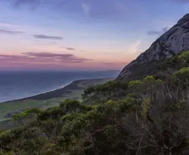 Breathtaking image of Mt Strzelecki, rising steeply from the coast. Bushland fills the foreground with the ocean in the background.