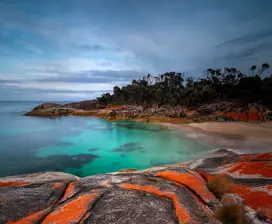 Incredible and vibrant image of Trousers Point, Flinders Island, showcasing it's striking blue ocean and bright orange rocks.