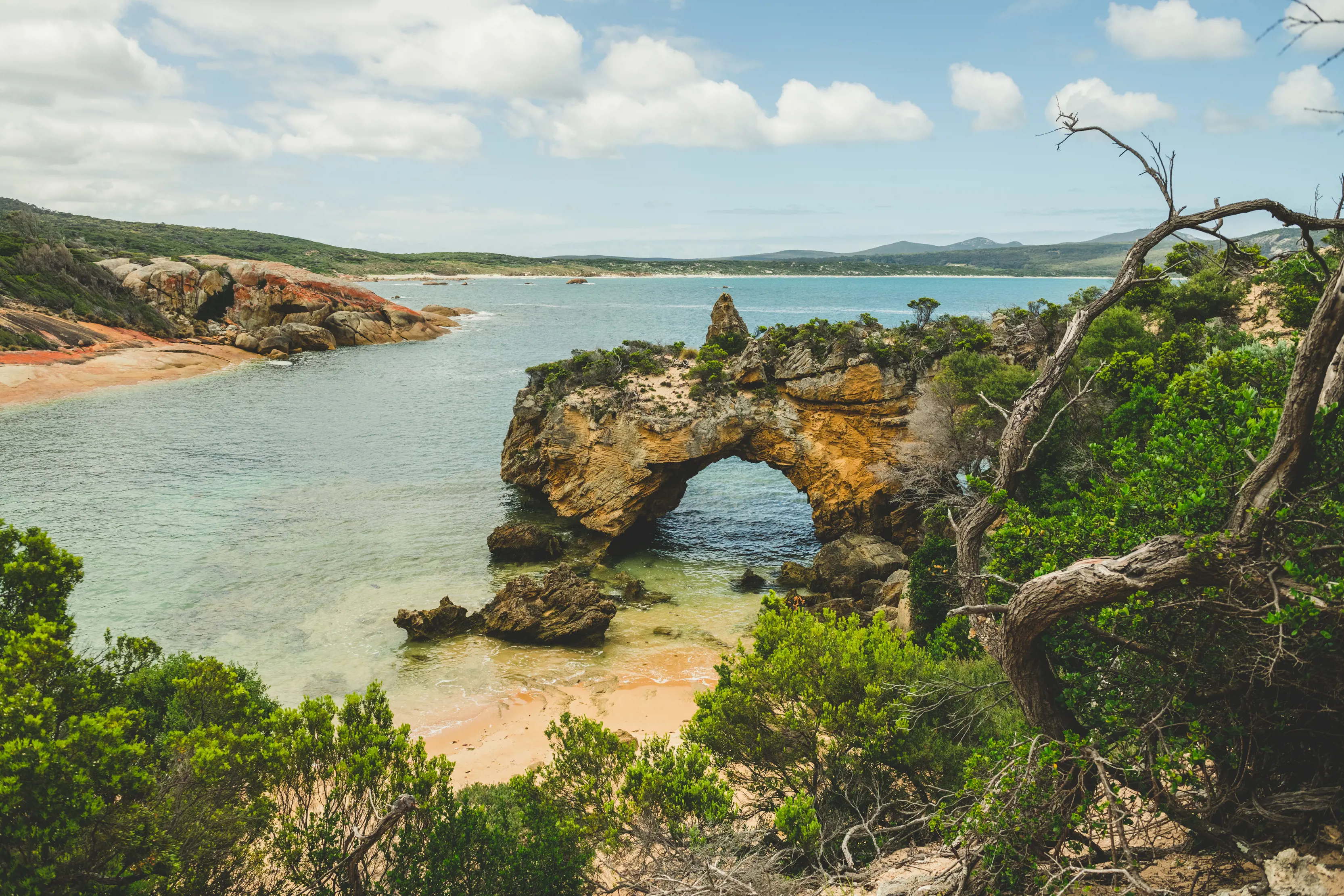 Stunning landscape image of Stacky's Bight, Flinders Island. Lush bushland meets the coastline with a large rock cave in the centre.