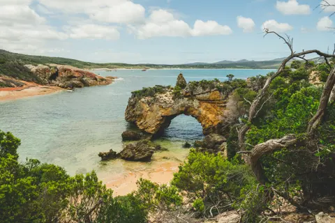Stunning landscape image of Stacky's Bight, Flinders Island. Lush bushland meets the coastline with a large rock cave in the centre.