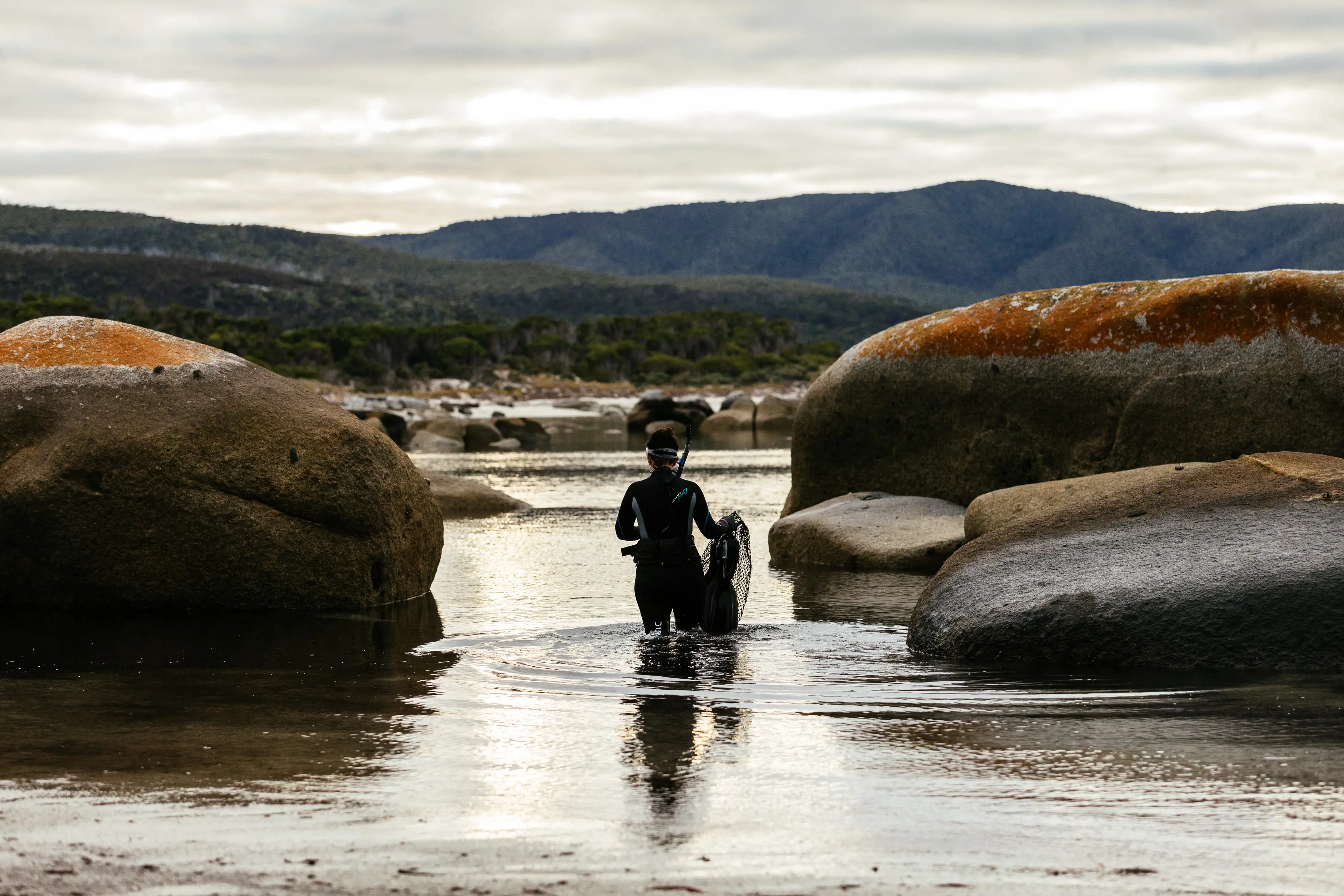 Snorkelling, Flinders Island