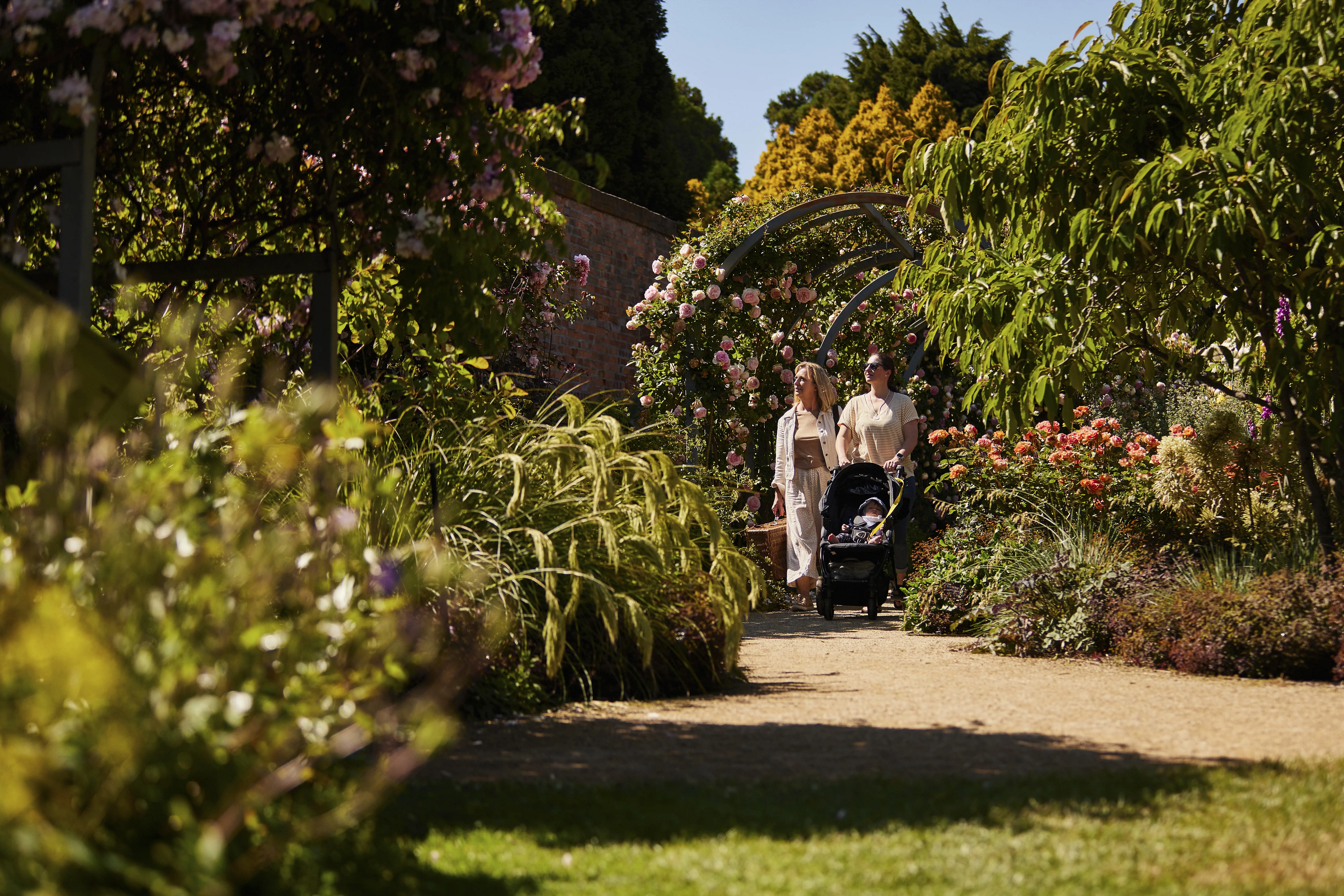 Royal Tasmanian Botanical Gardens