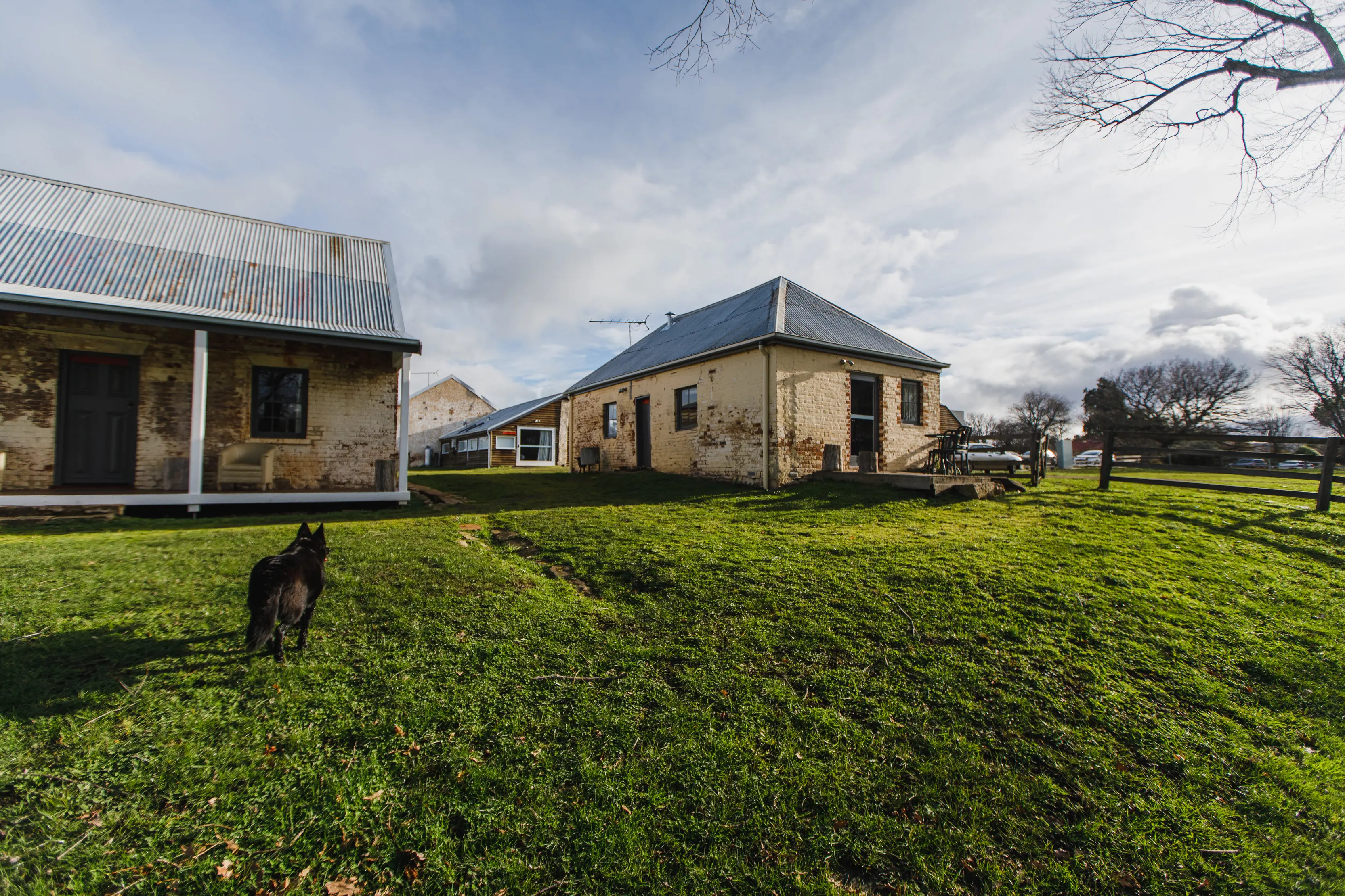 Exterior wide of Ratho Farm, with a dog in the foreground.