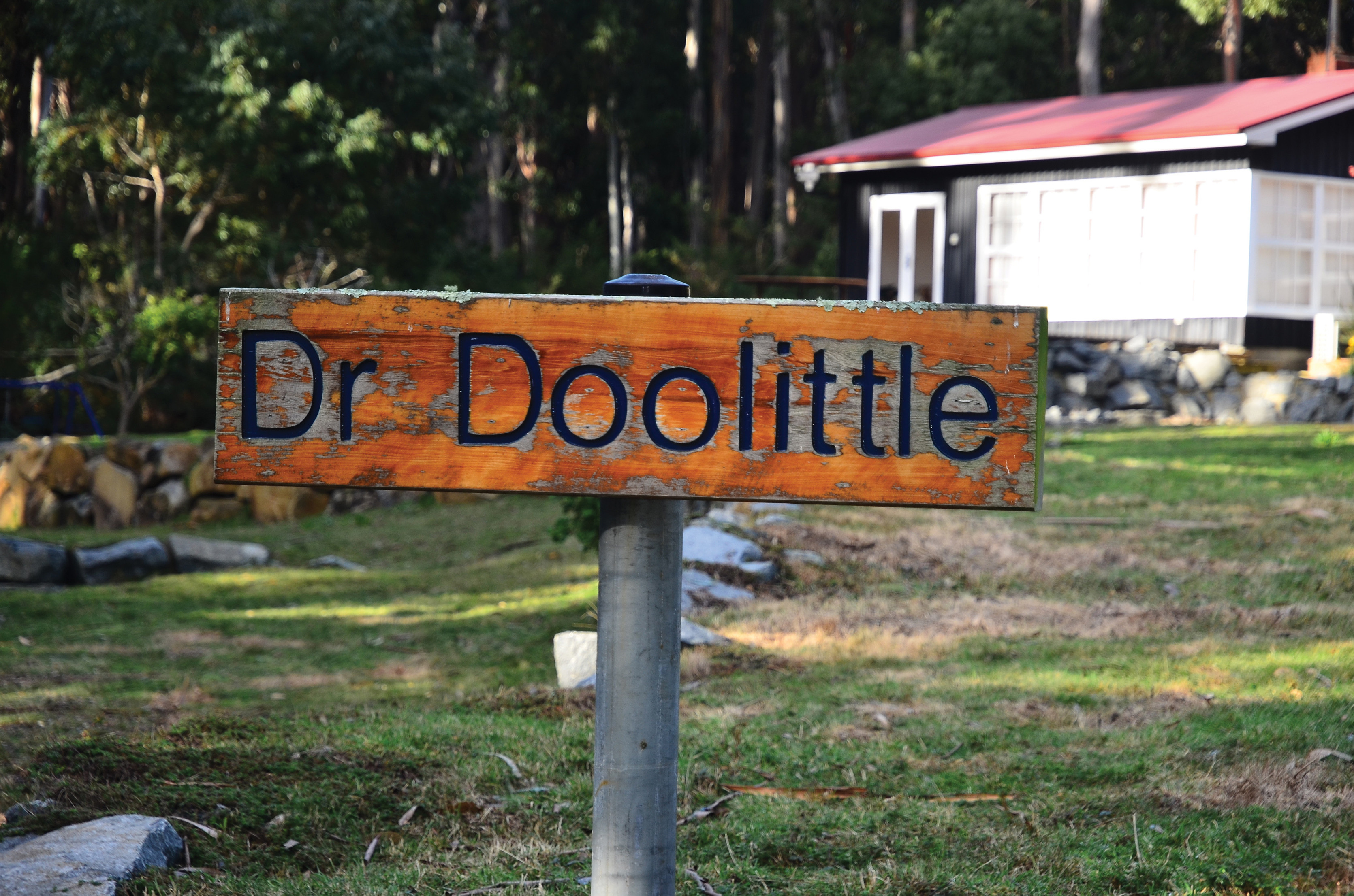 Image of the Dr Doolittle sign, rustic and orange in colour.