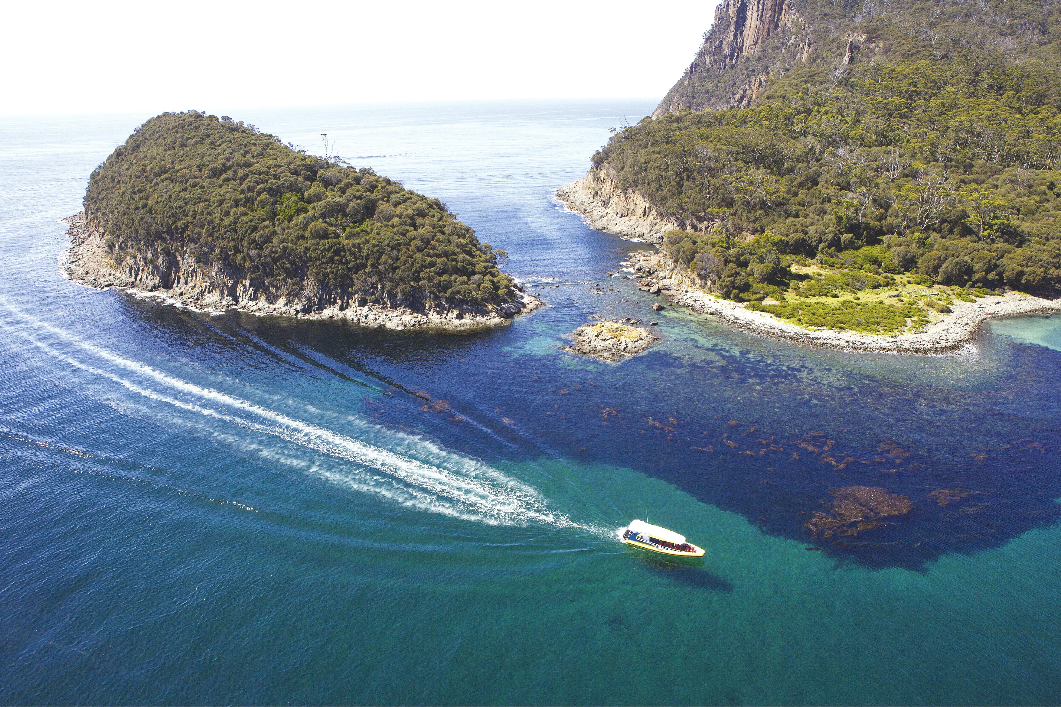 Passing Penguin Island - Bruny Island Cruises