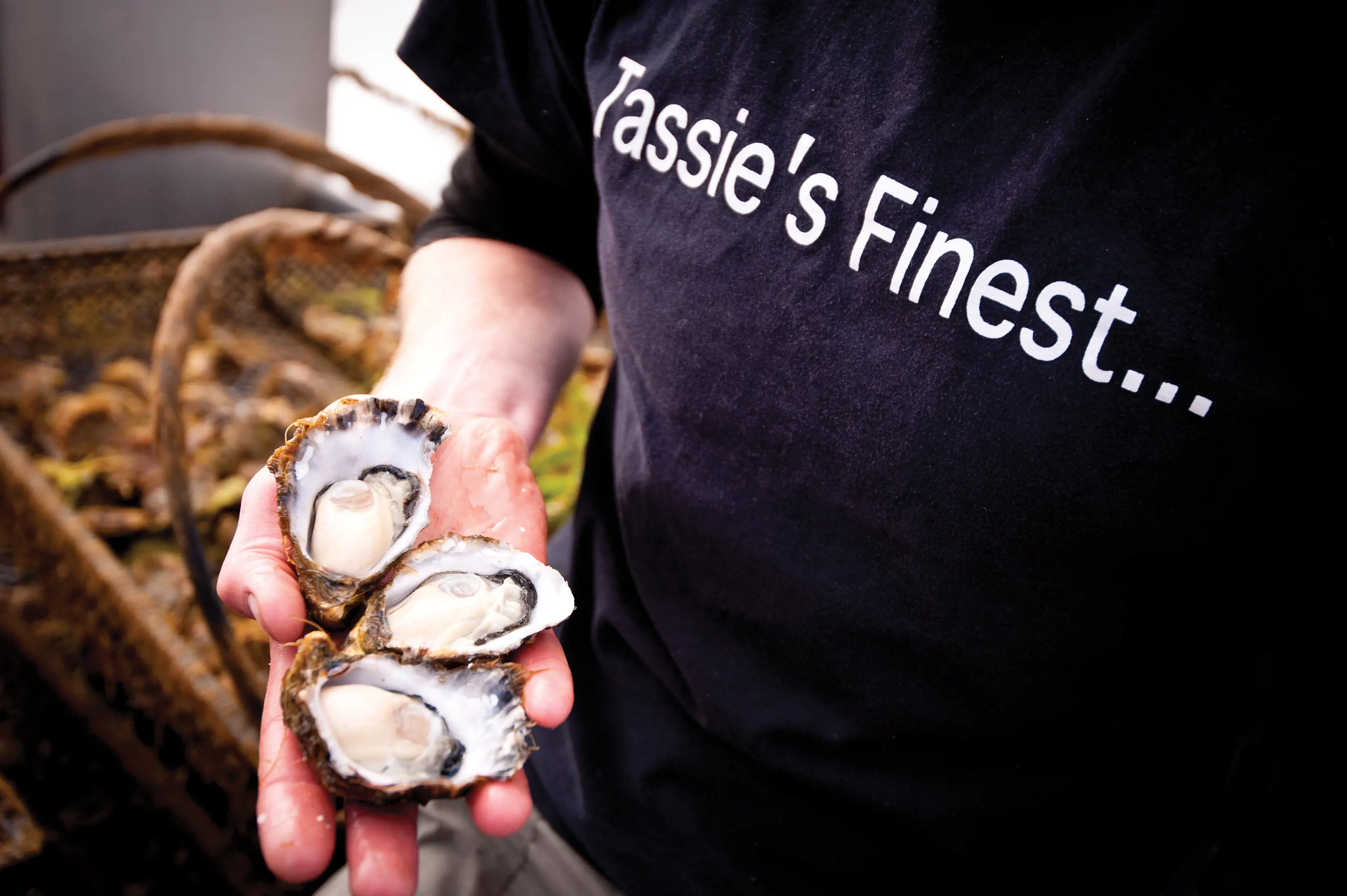 Get Shucked - Bruny Island Oysters