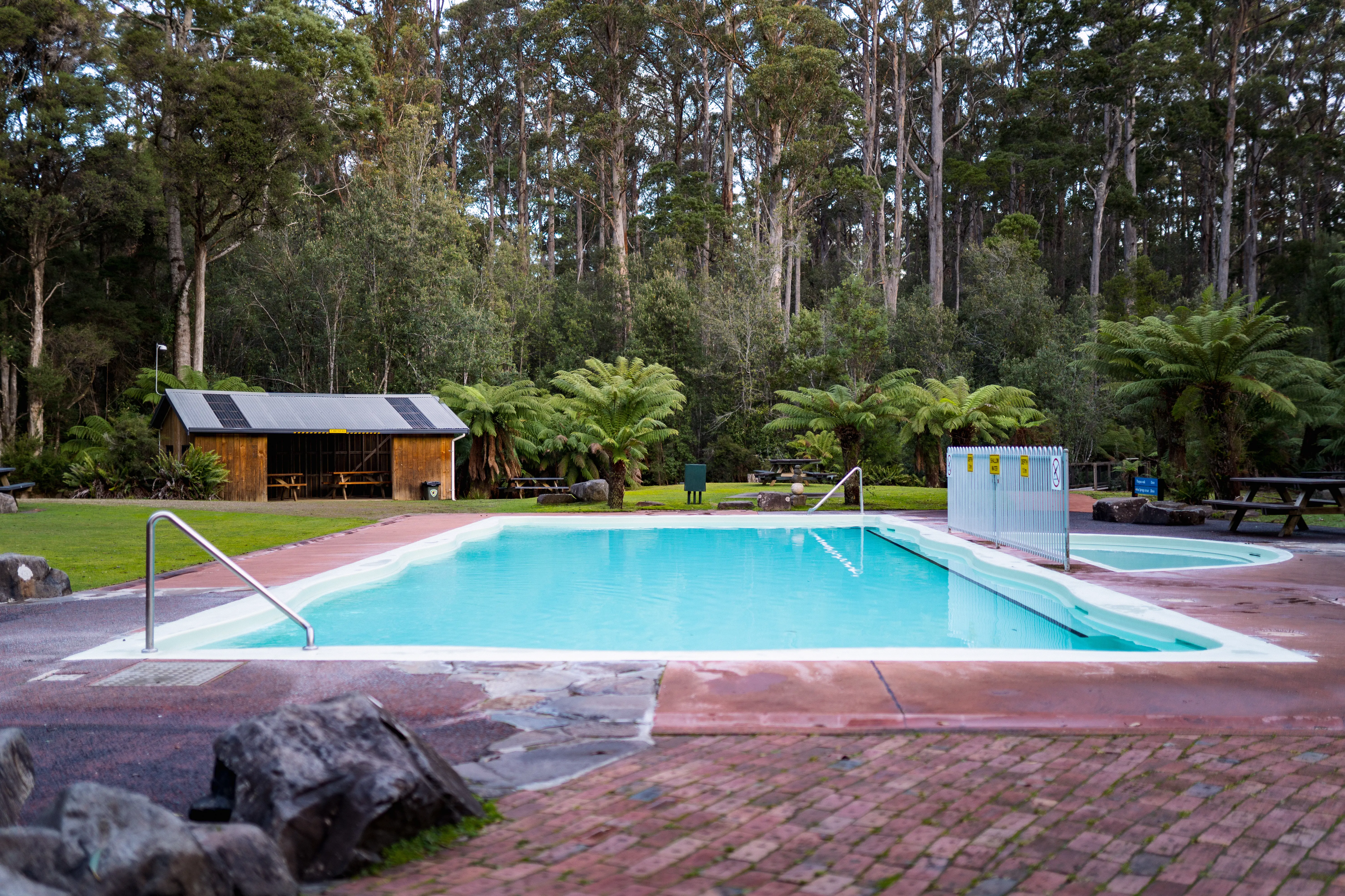 Thermal Springs blue pool at Hastings Caves and Thermal Springs, the Huon Valley.