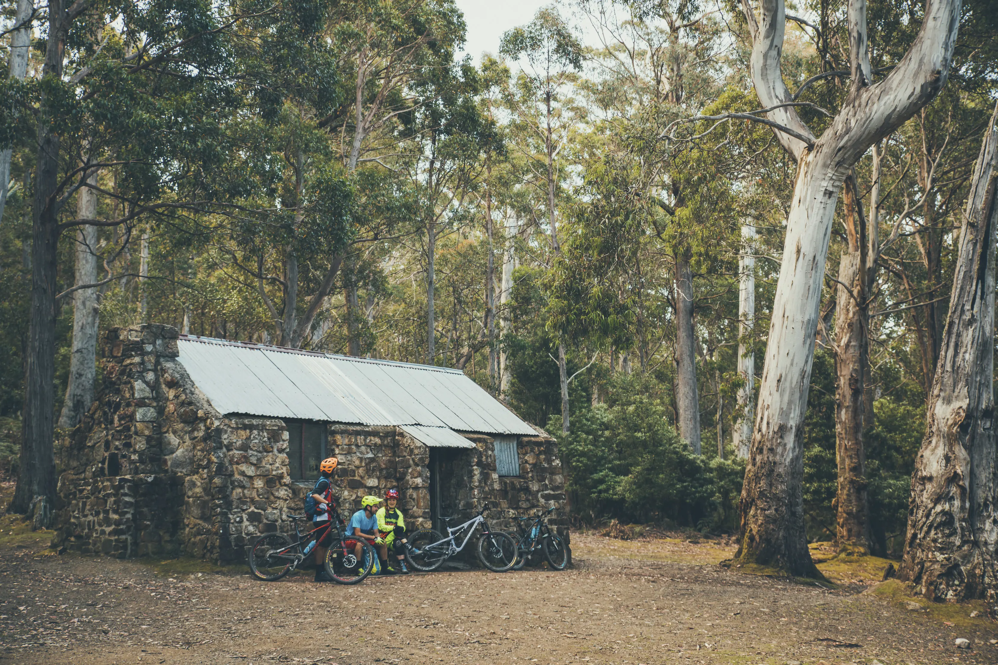 Junction Cabin, North South Track, kunanyi / Mt Wellington