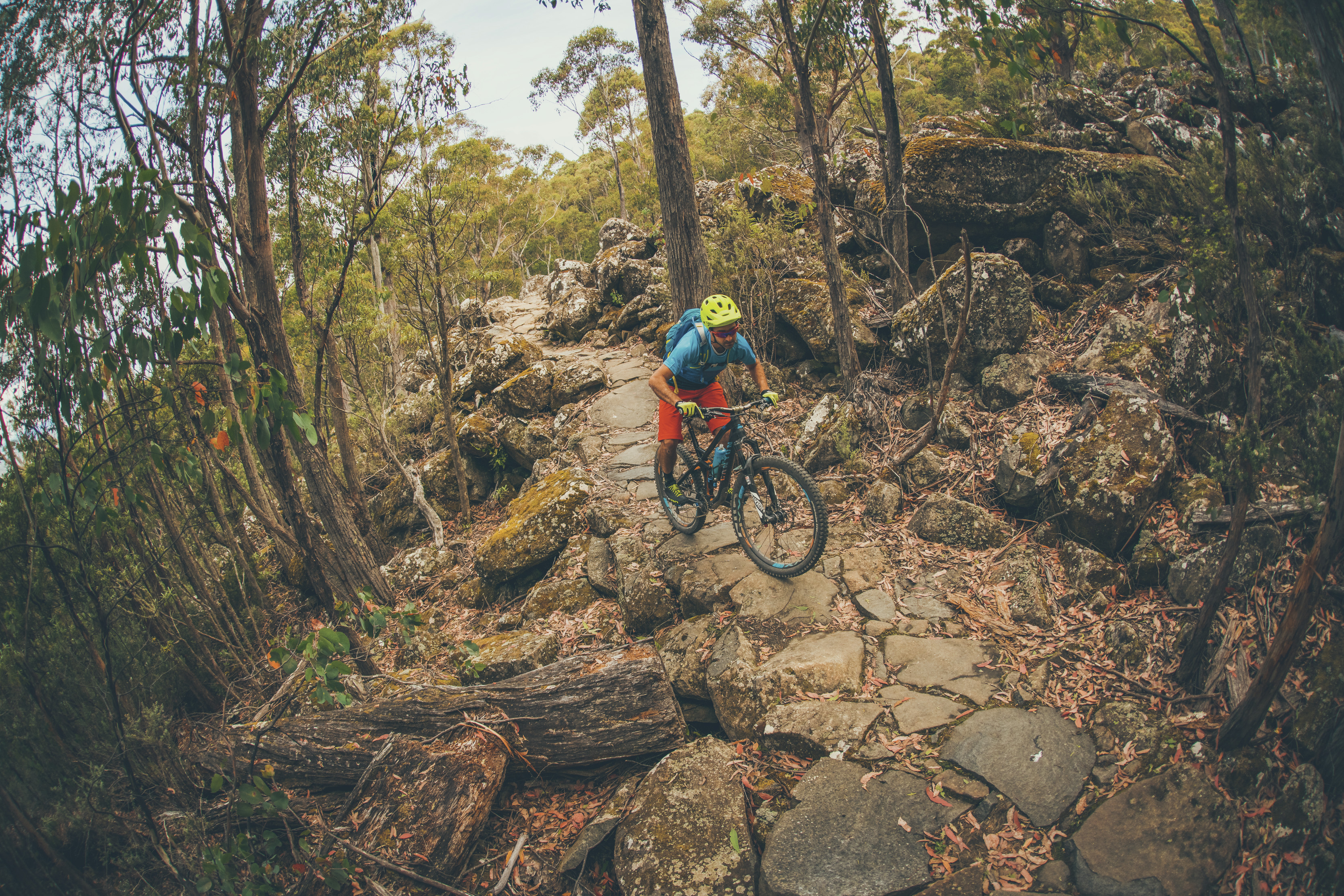 Mountain bike rider in vibrant gear riding down a rocky path on the North South Track, kunanyi / Mt Wellington.