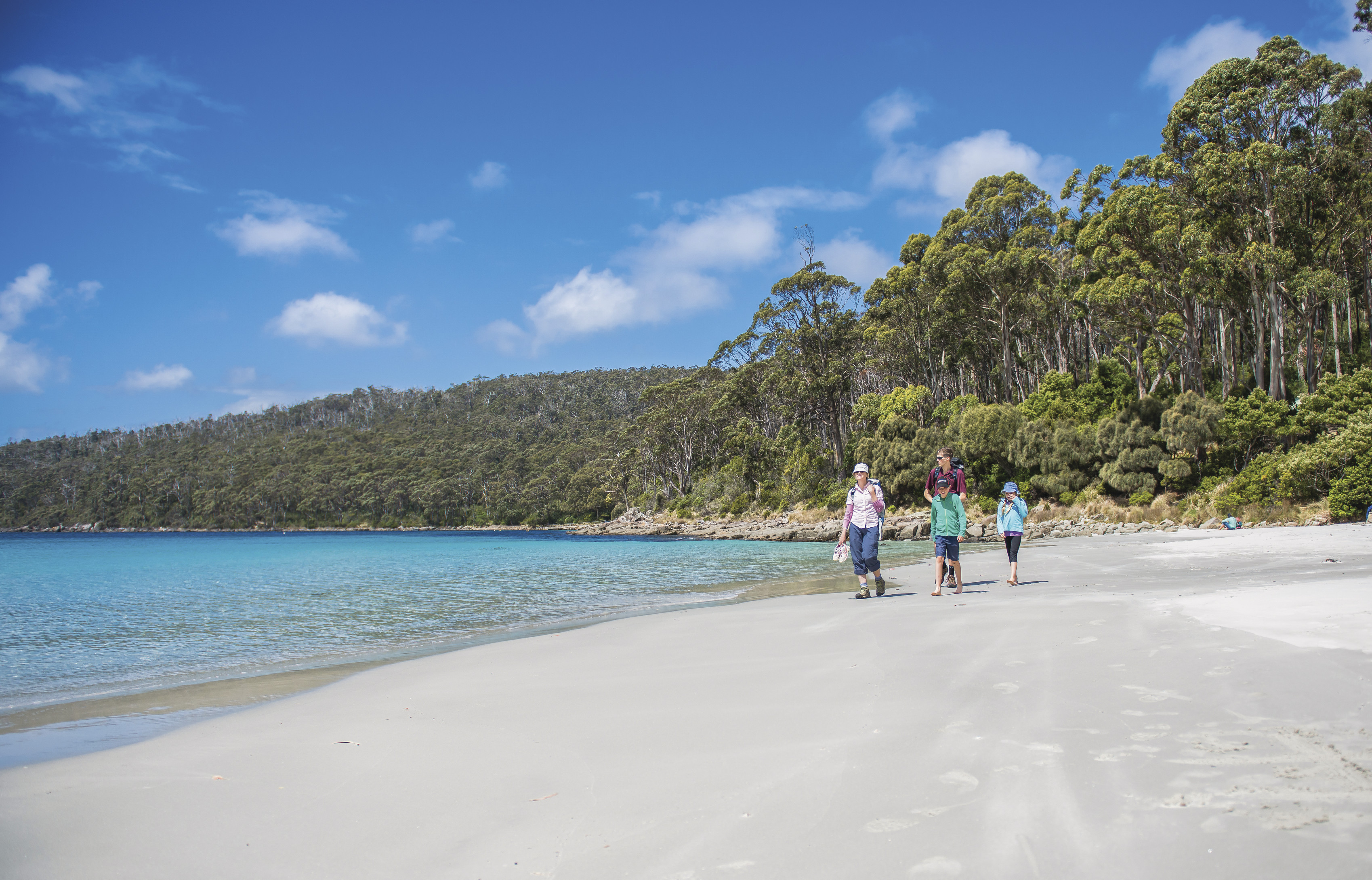 A group of people walk on a sandy beach, with turquoise water and sunny clear skies. Three Capes Track - Fortescue Bay