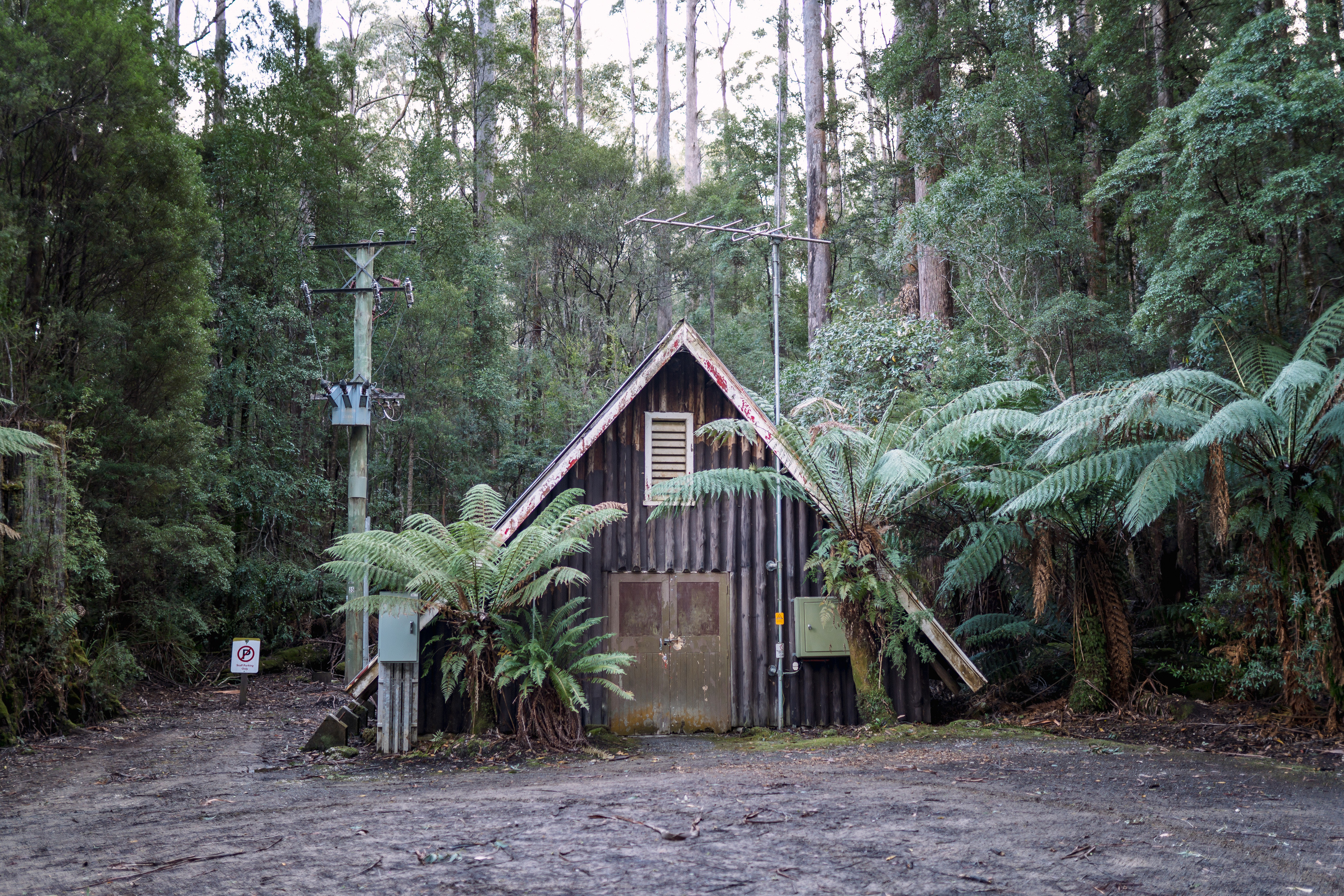 Looking at a small triangle shaped house surrounded by tall ferns and eucalypt trees. Hastings Caves and Thermal Springs in the Huon Valley 