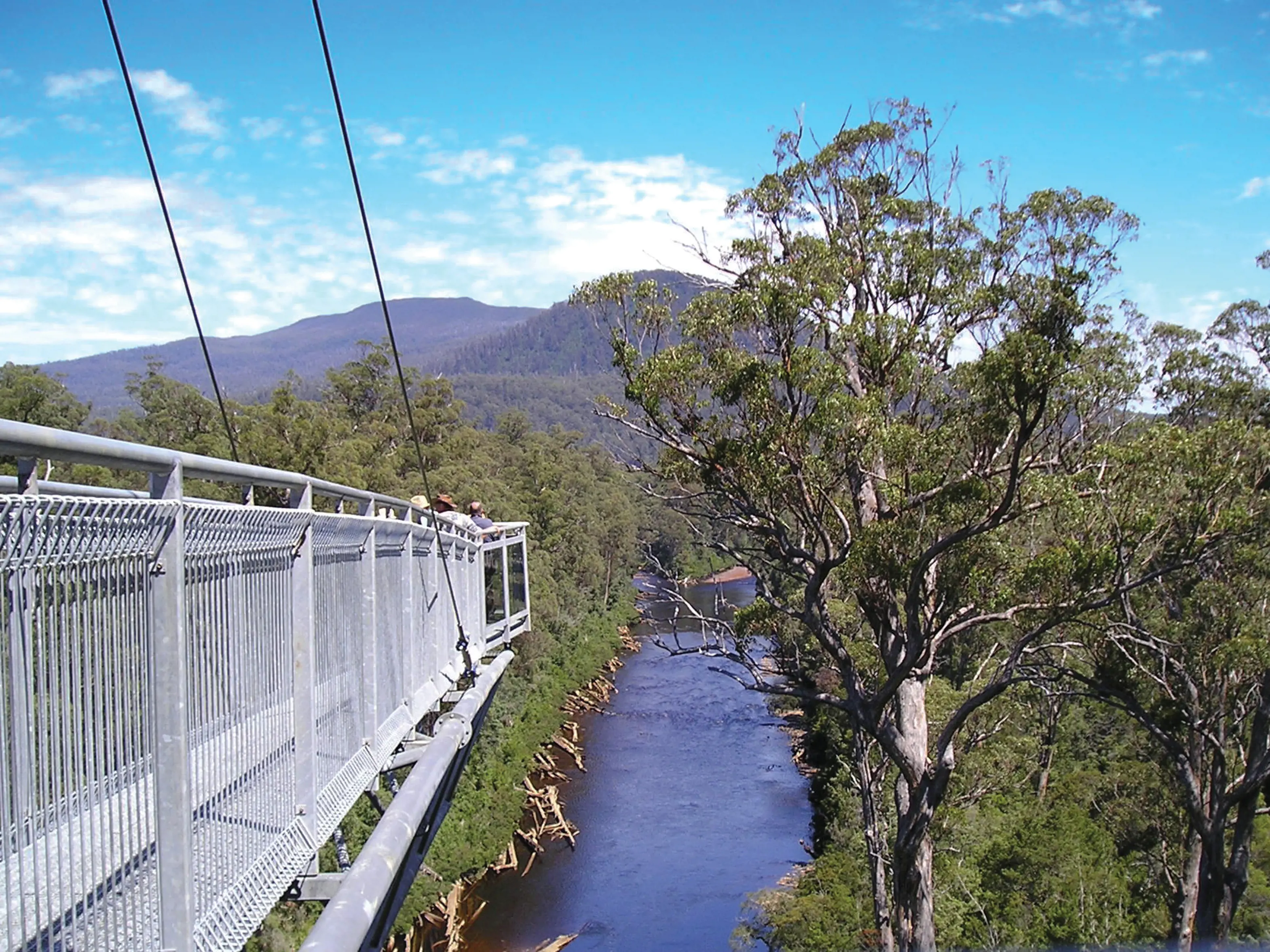 Breathtaking view of the Tahune Forest Reserve and the Huon River from the Tahune Airwalk, 597m elevated walkway through the tree canopy.