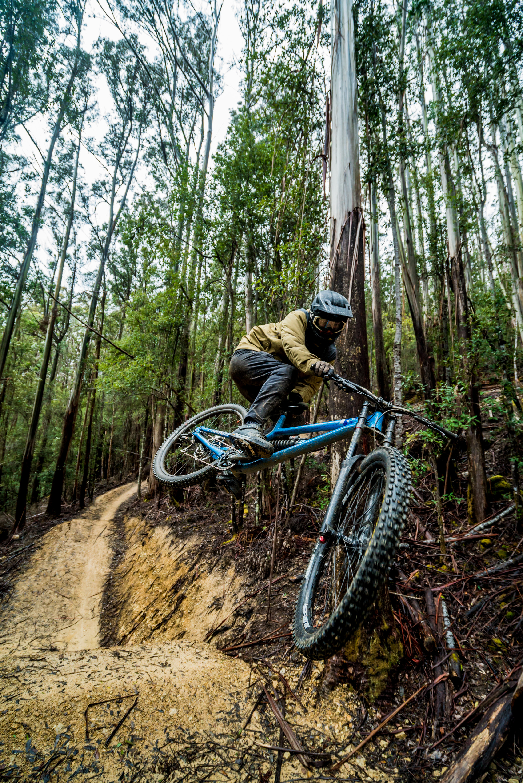 Mountain biker ripping through the Maydena Bike Park. Surrounded by tall trees and dirt paths.