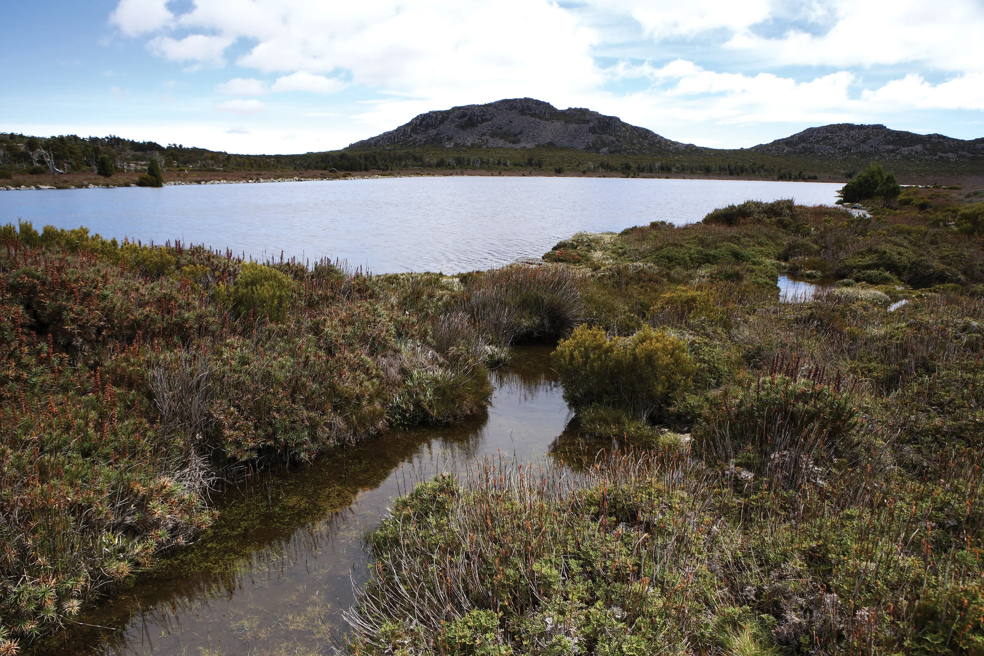 Wide shot of Pine Lake, a small lake just a few hundred metres from the highway in Deloraine.