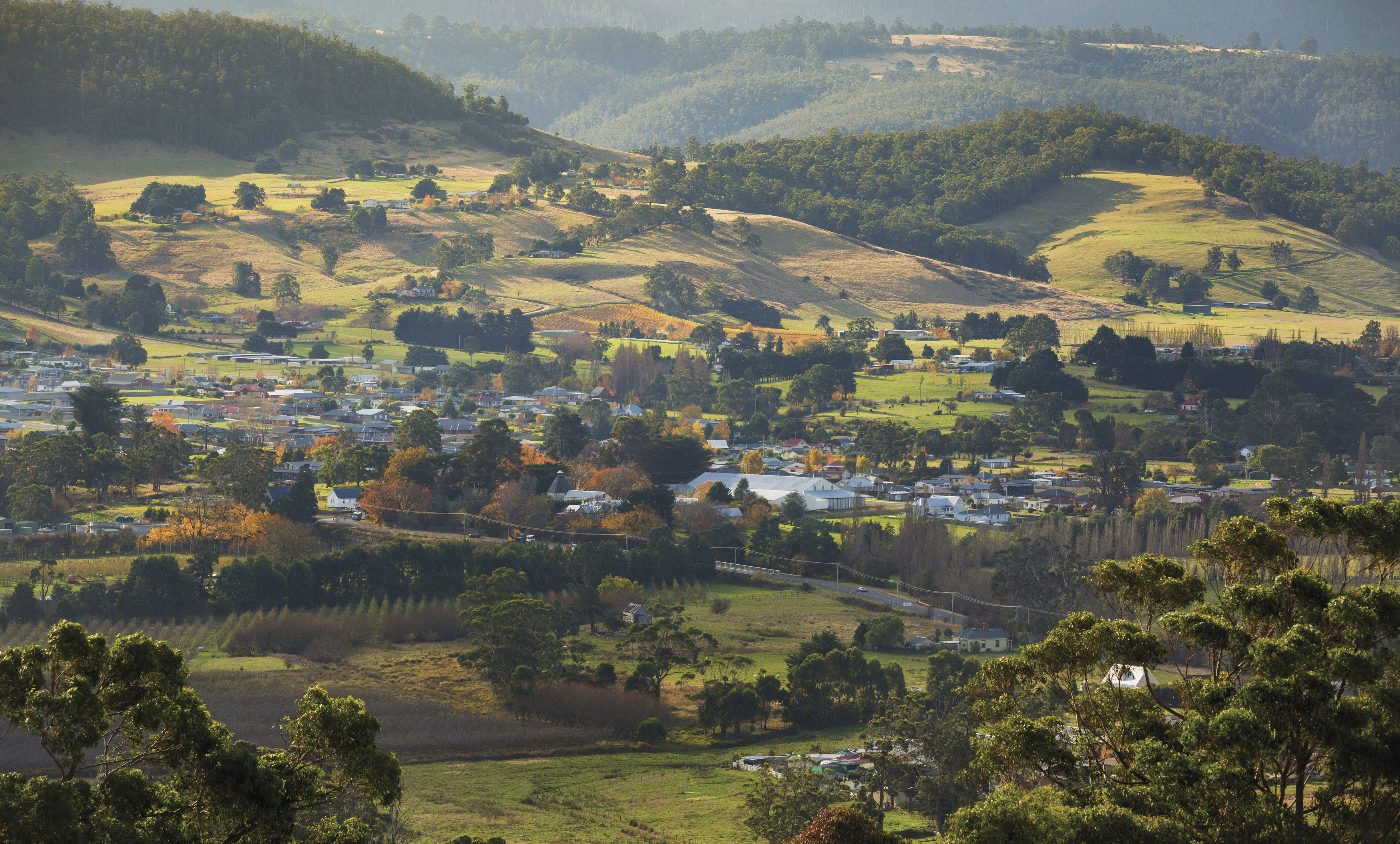 "View of the town at Huon Valley . Lush greenery surrounding housing, roads and farmland. "