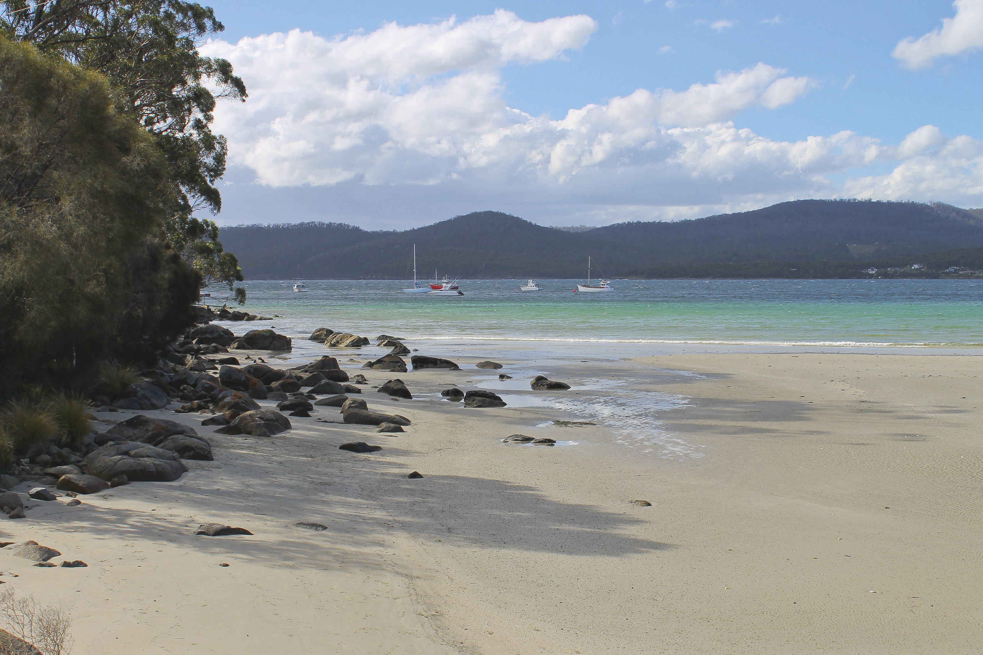 Looking over a sandy beach at low tide with boats moored out in the bay in the distance. At White Beach, Nubeena.
