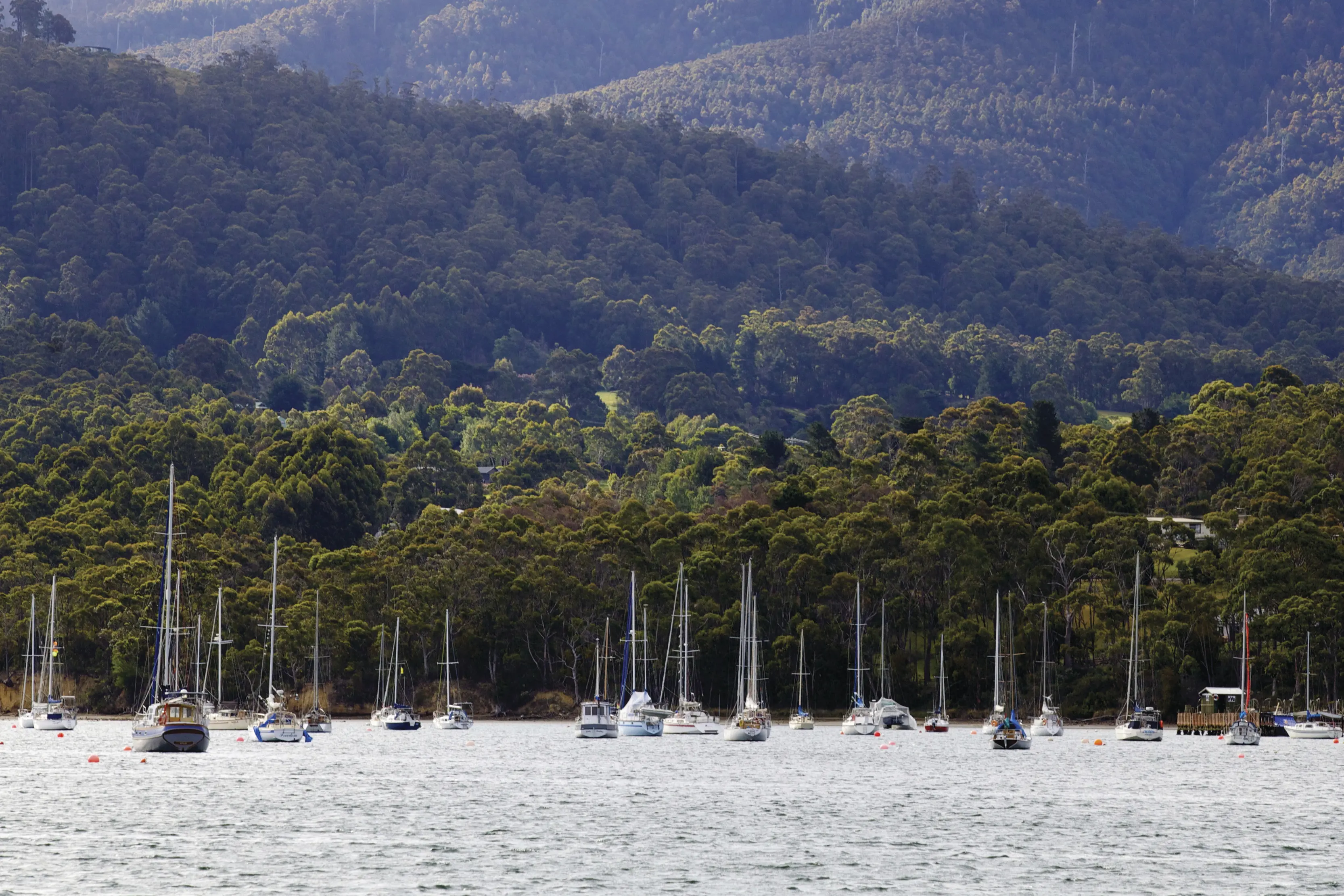 Looking across the water at moored sailboats with tree covered mountains in the distance at Kettering.