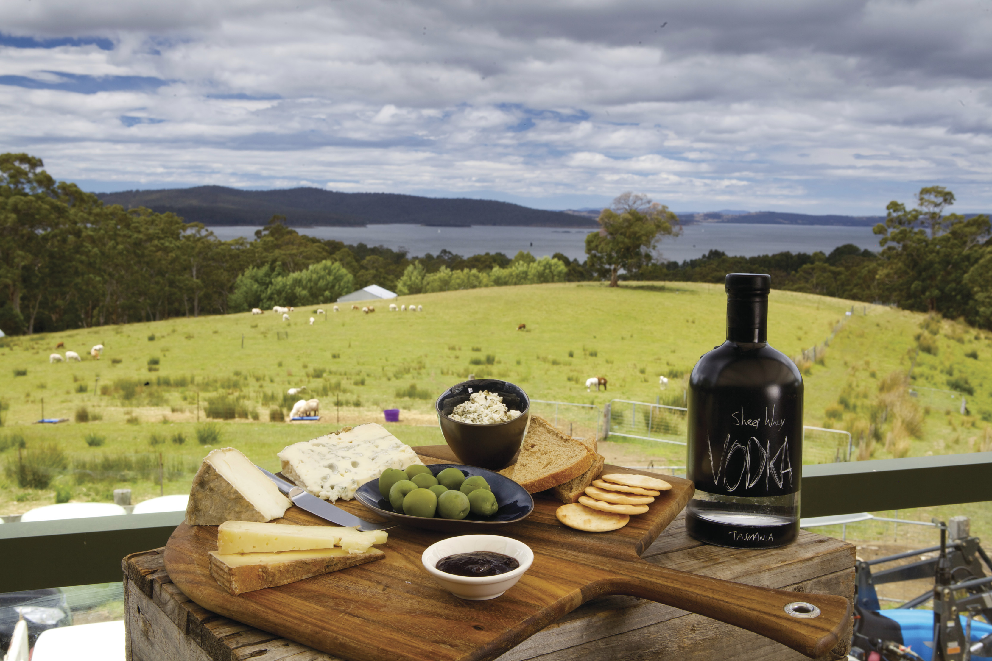 In the foreground, there is a cheese platter on a wooden board with a bottle of vodka. In the background, sheep graze at Grandvewe Cheeses.