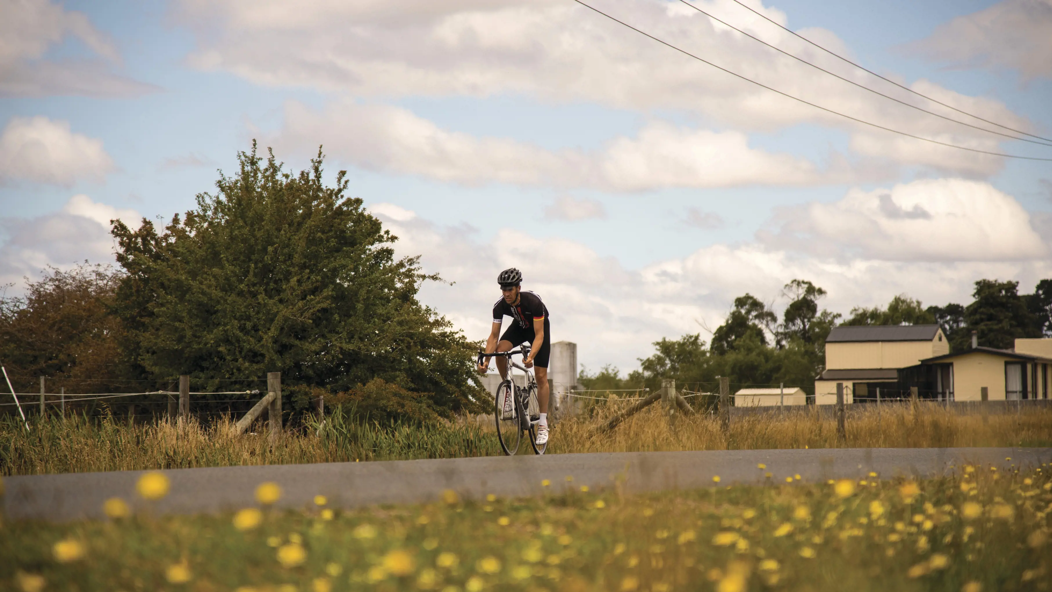 Cyclist on the Scottsdale Loop, with yellow flowers in the foreground.