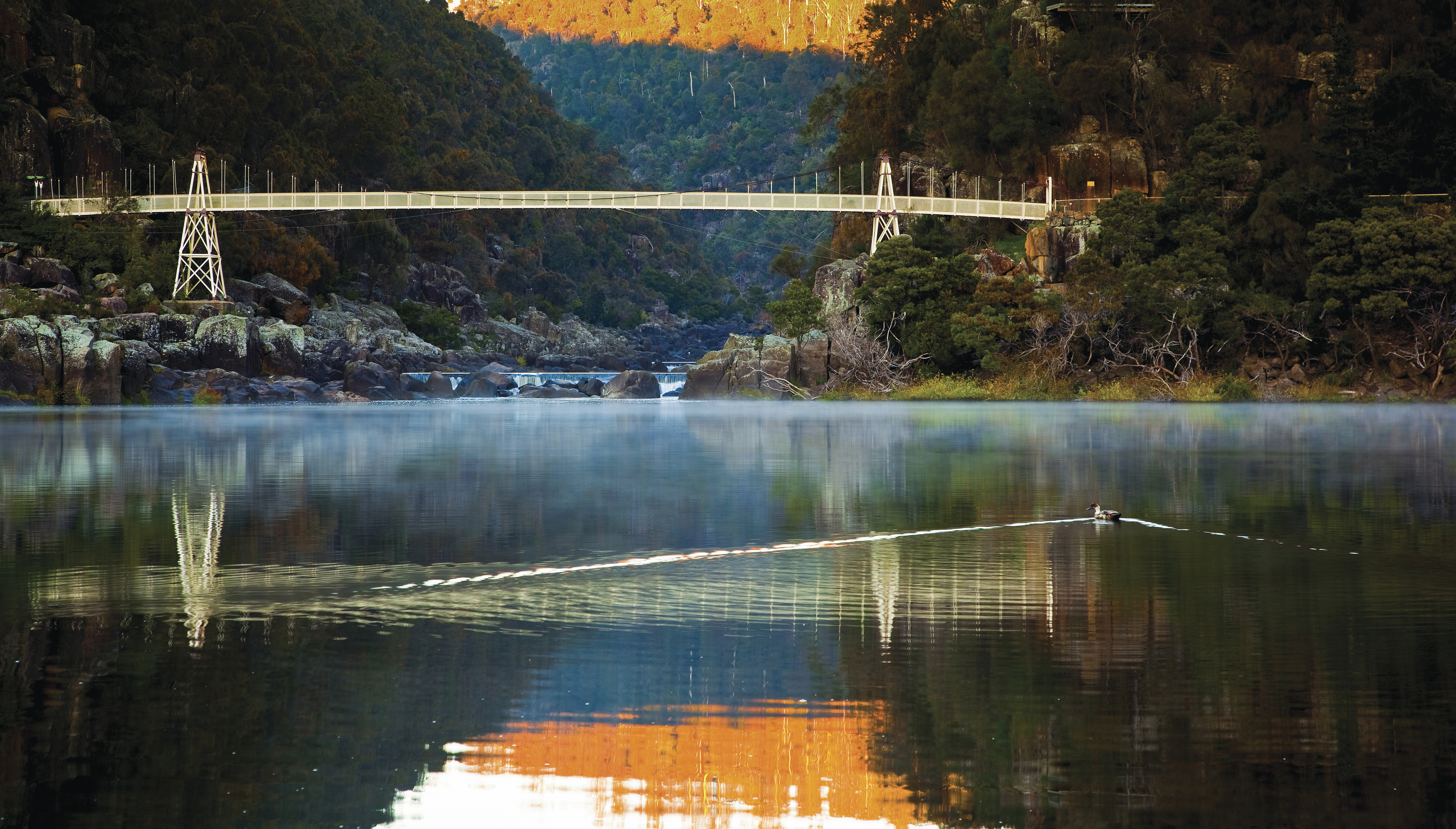 The Suspension bridge reflects on the still water at Cataract Gorge Reserve.