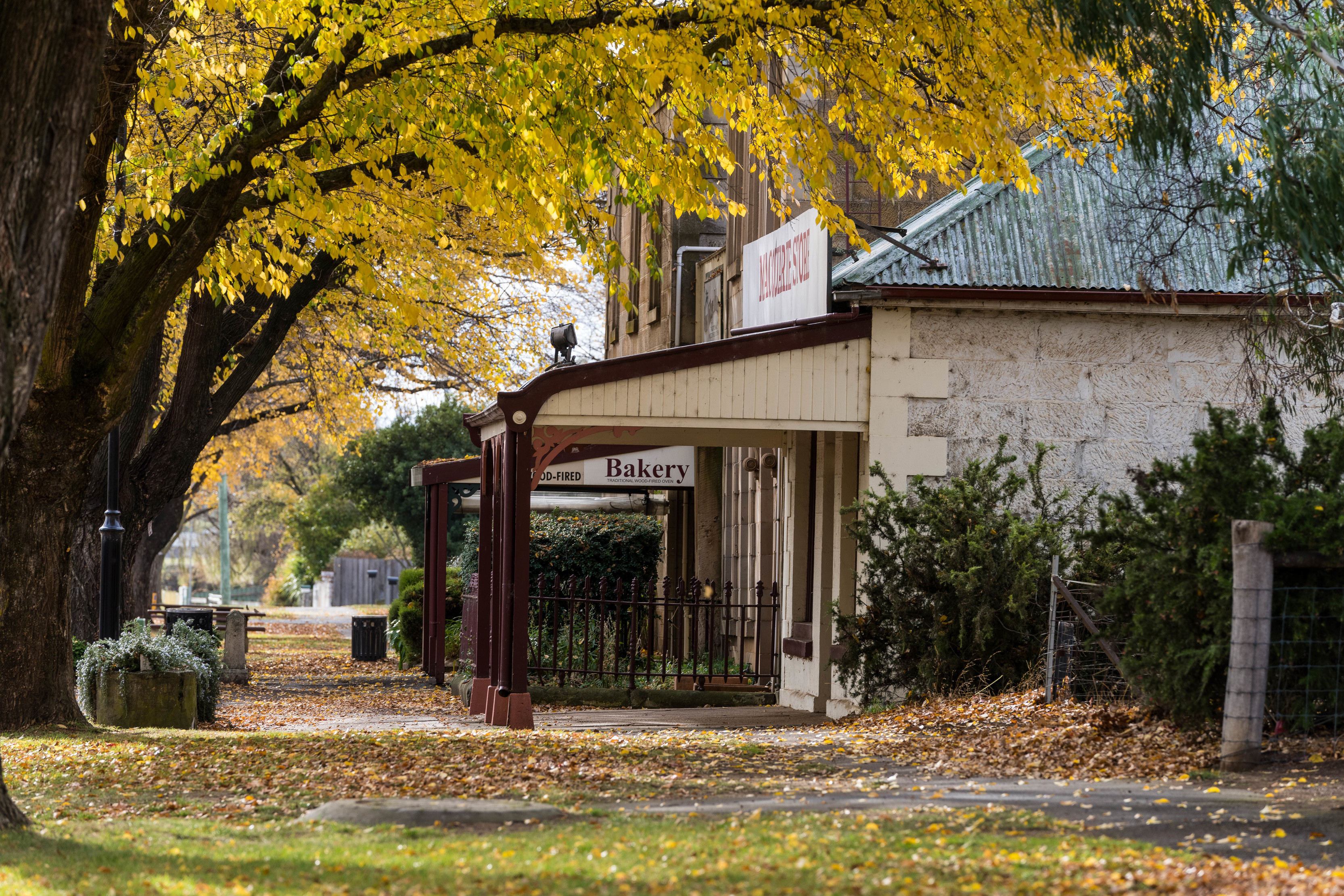 Exterior of Bakery31, home to the famous Tasmanian Scallop Pie, in Ross. Yellow autumn trees surround the building.