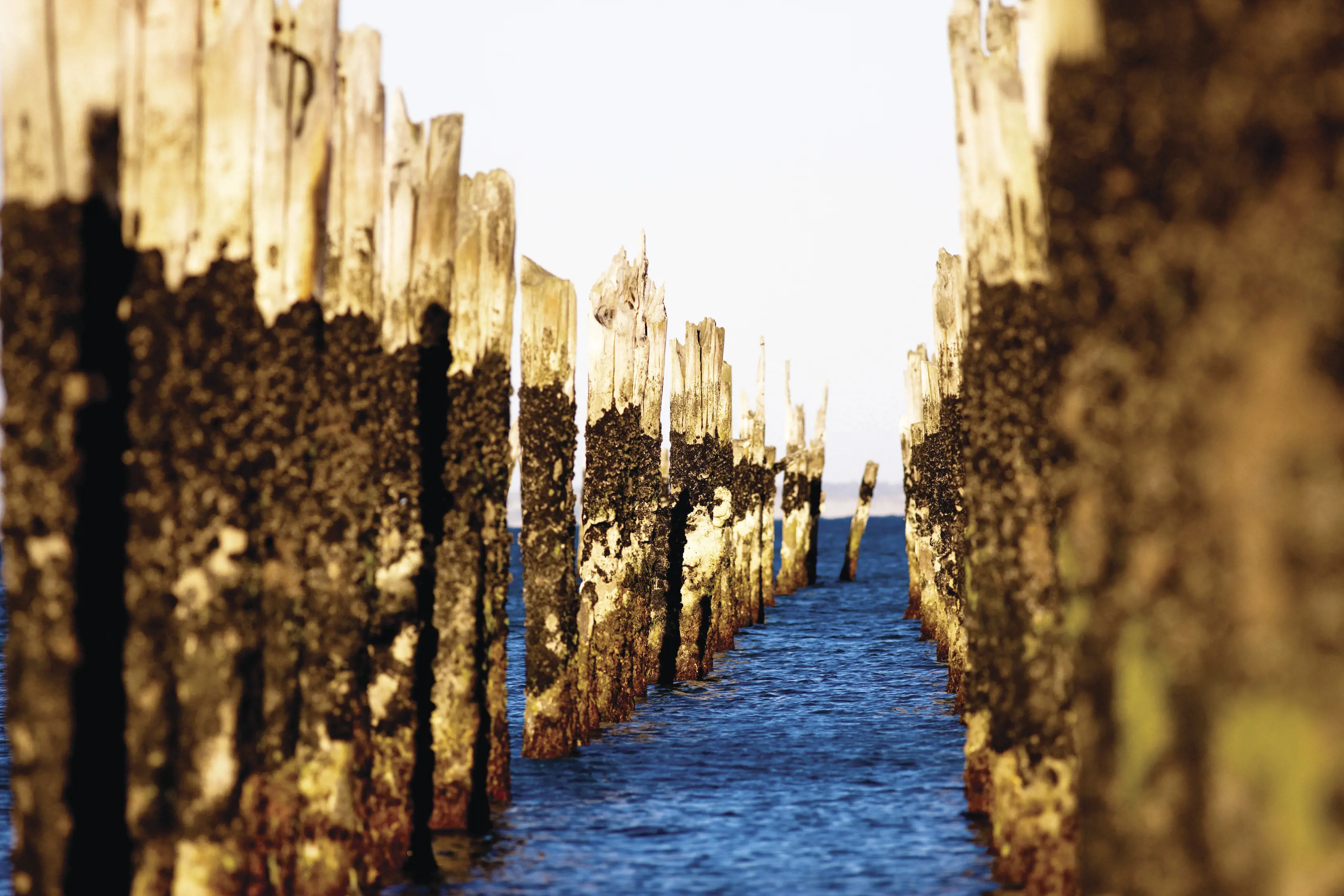 Wharf remains at Bridport.