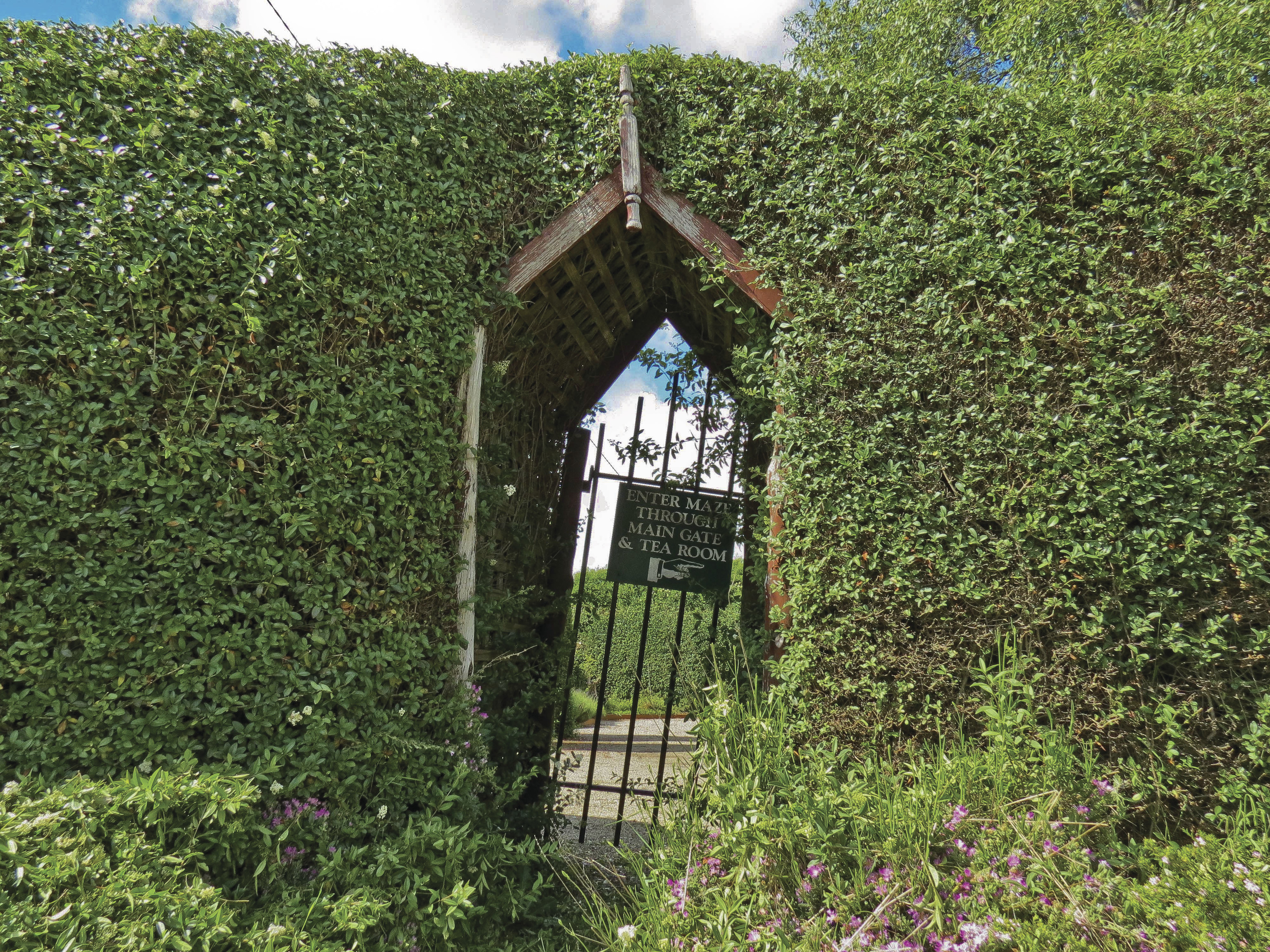 An entrance door to the neatly clipped traditional hedge maze at Westbury Maze and Tea Room.
