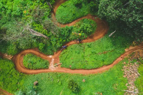Overhead of a curved cycling trail on Blue Derby Mountain Bike Trails, the dirt road is surrounded by bright greenery.