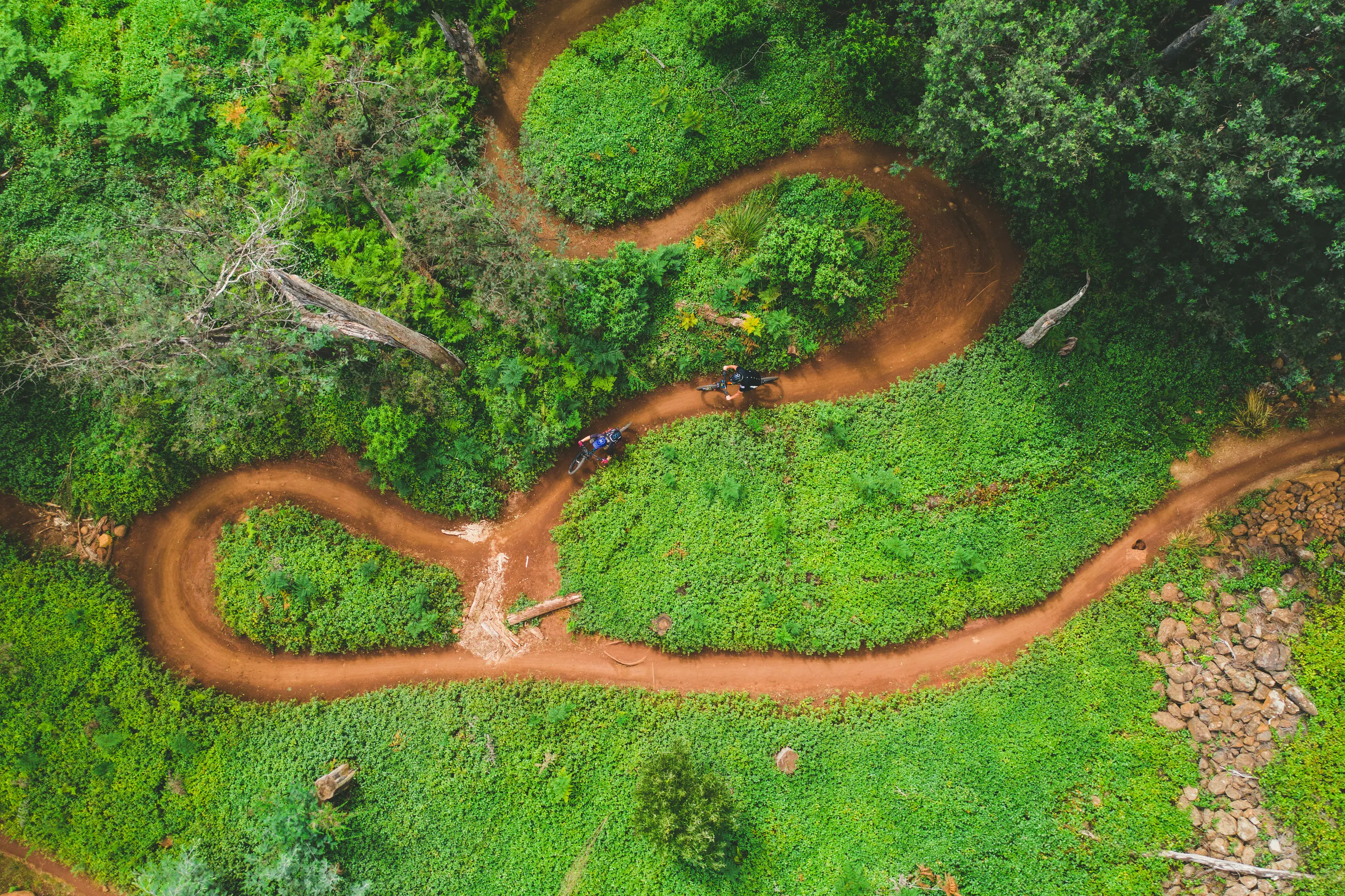 Overhead of a curved cycling trail on Blue Derby Mountain Bike Trails, the dirt road is surrounded by bright greenery.