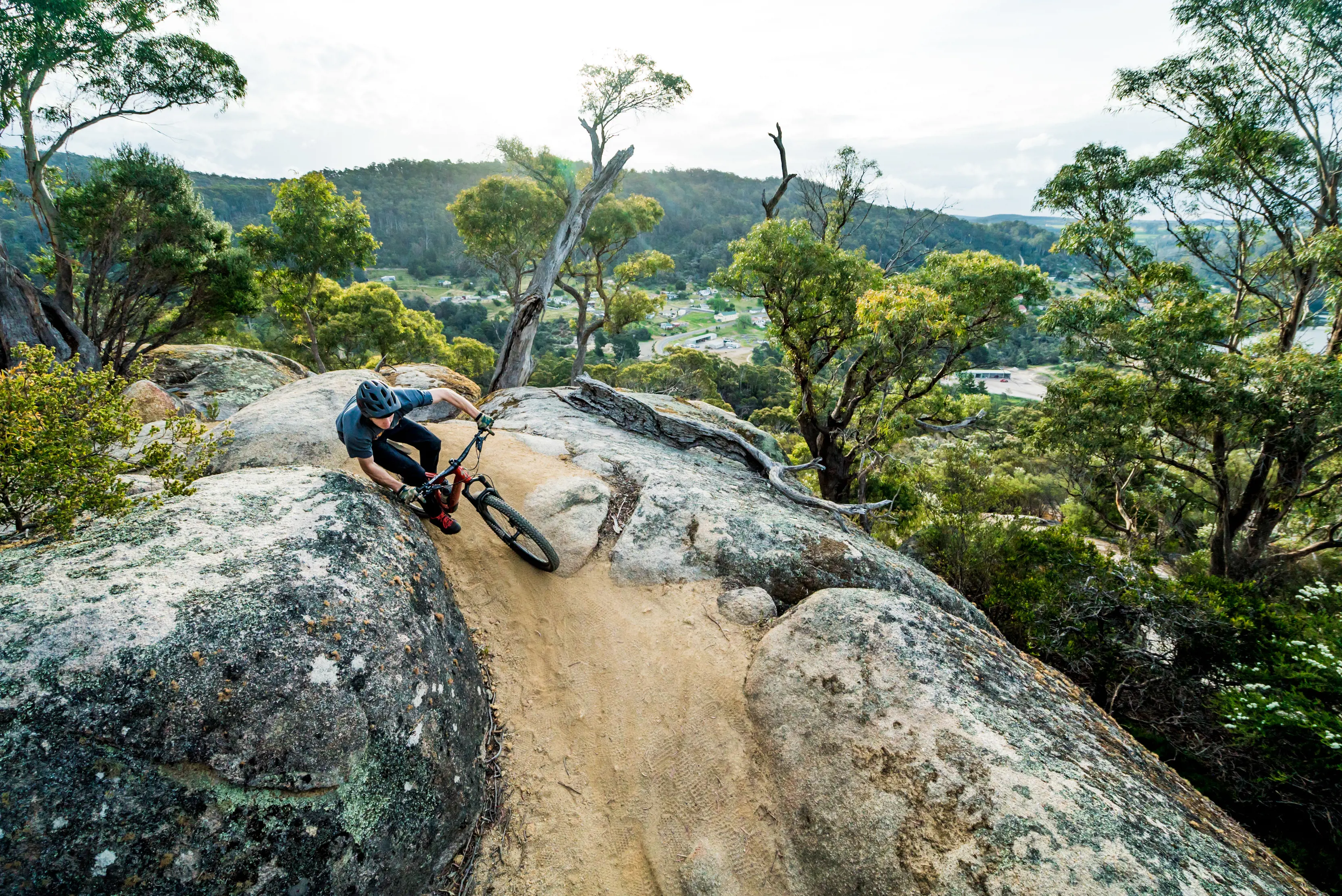 Cyclist speeds around the bend on Blue Derby Mountain Bike Trails, vast rainforest in the back drop.