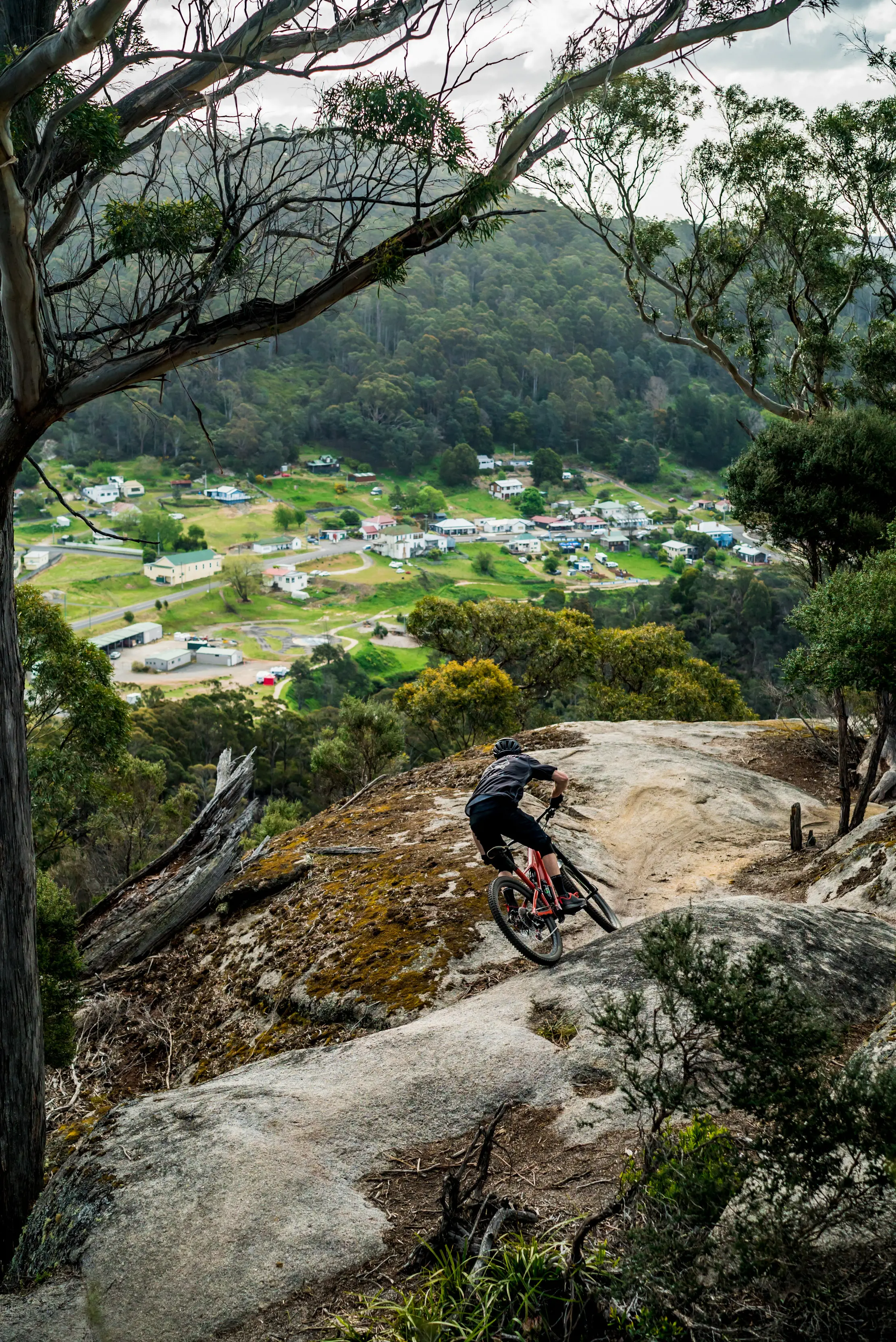Cyclist rides downhill on the Blue Derby Mountain Bike Trails, with town views in the distance in the back drop.