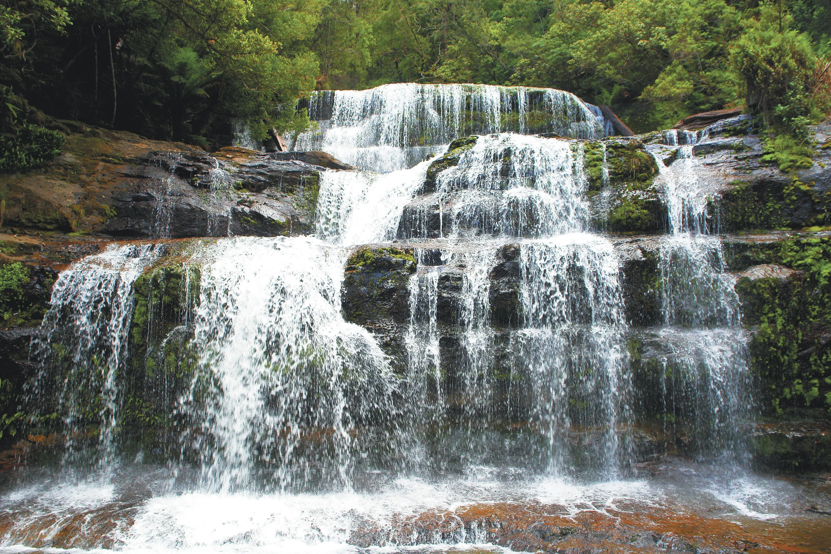 Wide of the Liffey Falls State Reserve, a waterfall nestled within cool temperate rainforest on the slopes of the Great Western Tiers.