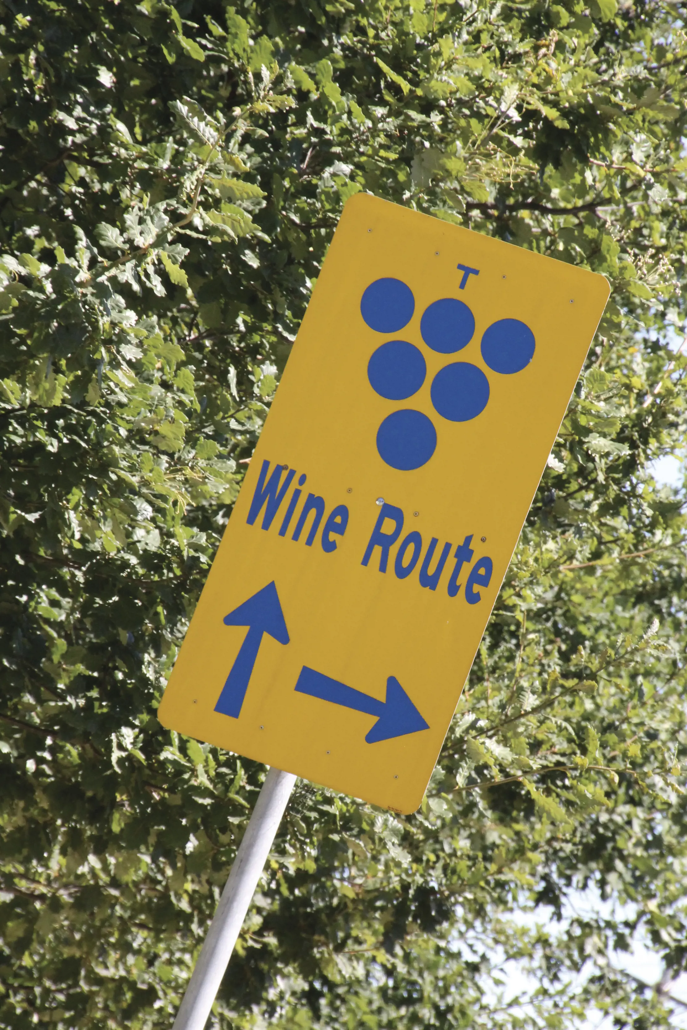 Yellow sign with the words Wine Route, icons and arrows in blue, in Relbia.