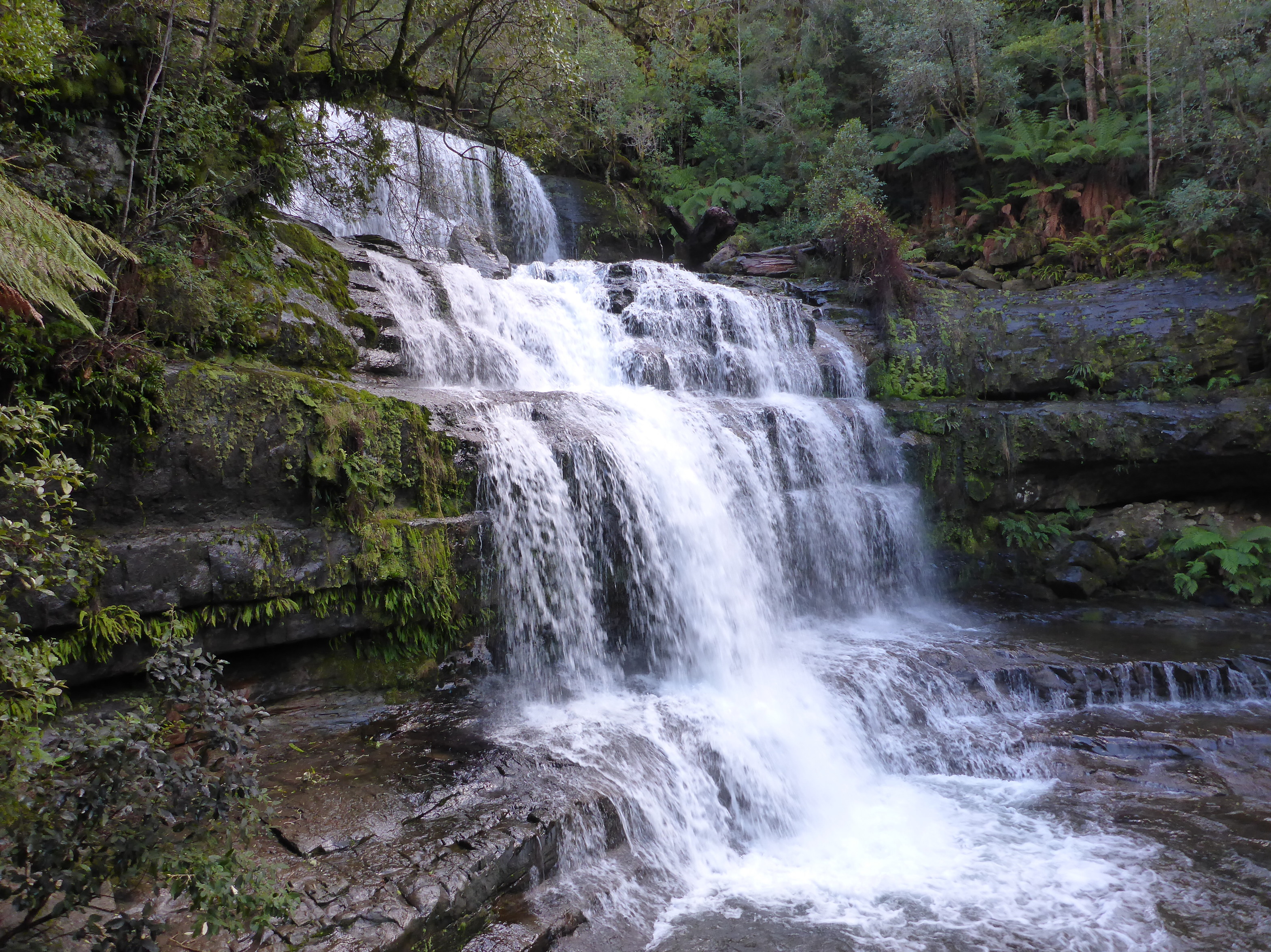 Layered waterfall, rushing down the Great Short Walks in Liffey Forest Reserve