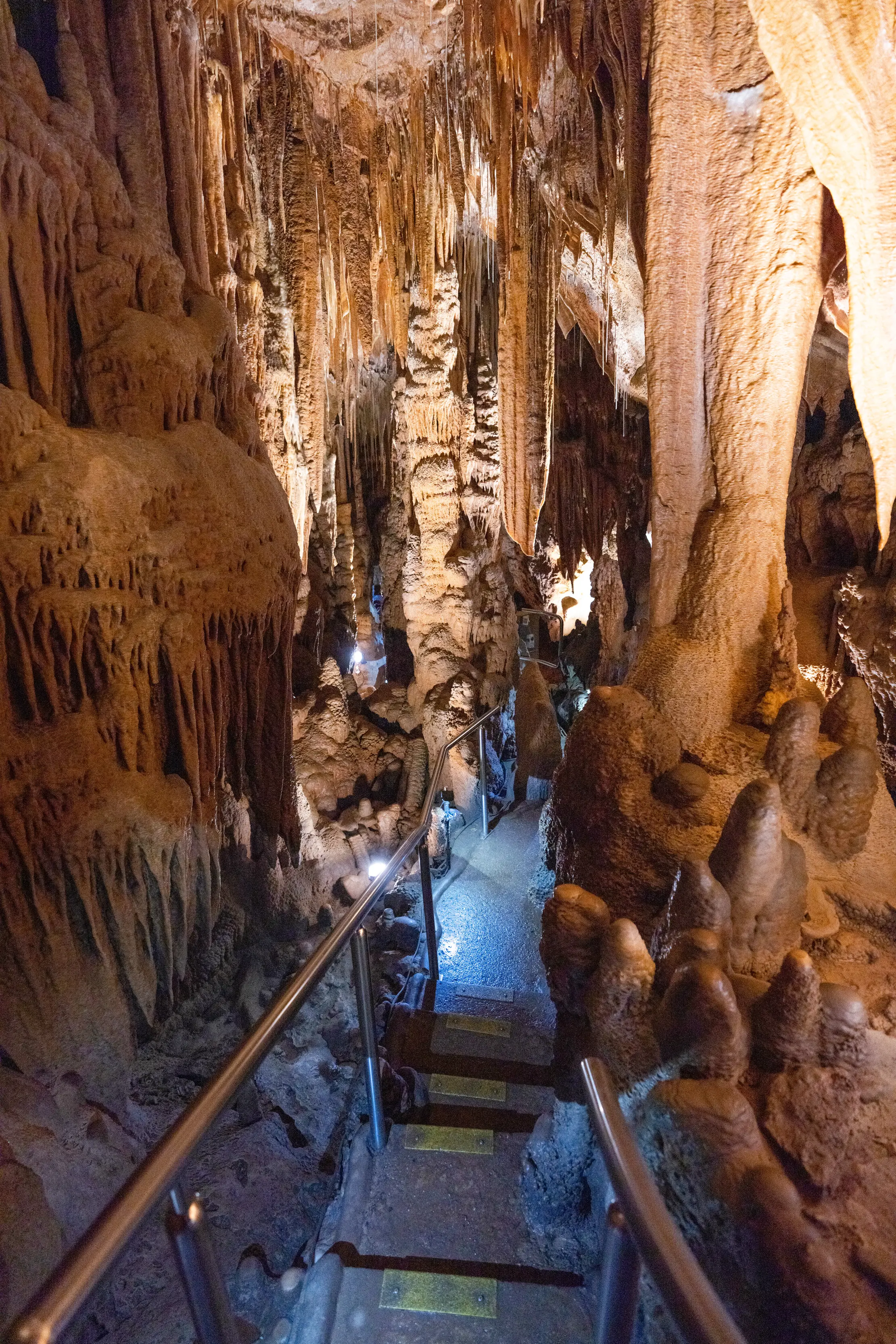 Image of the walking track, leading you through the King Solomons Cave