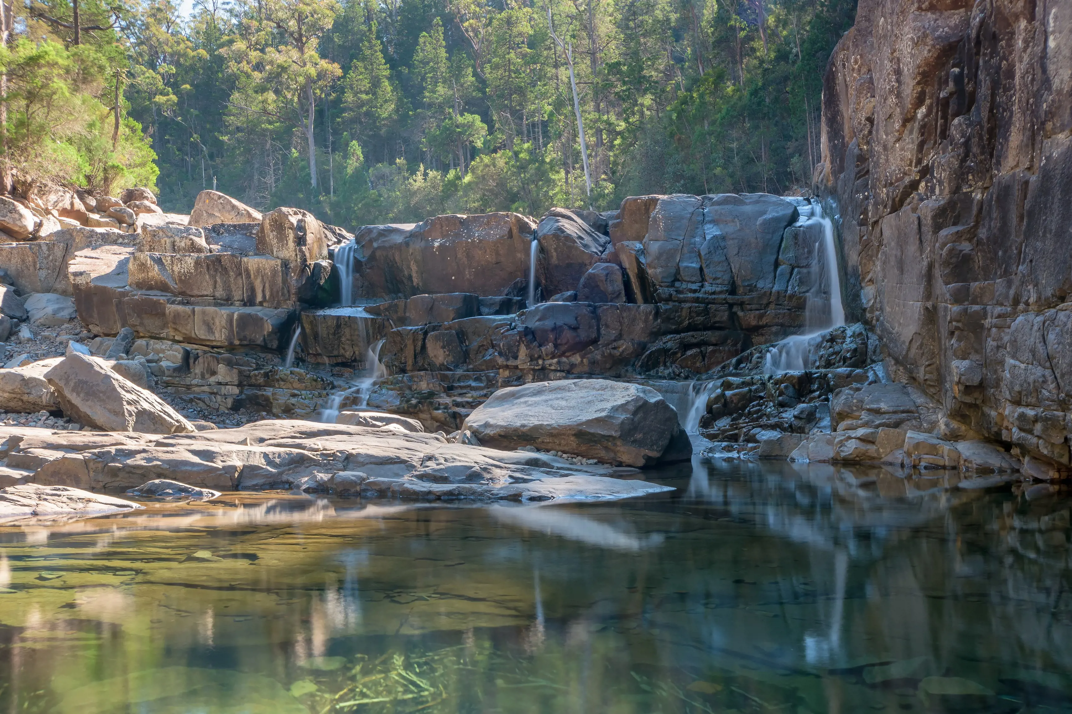 Incredible image of a woman walking into a tranquil, vibrant blue pool, surrounded by lush bushland.