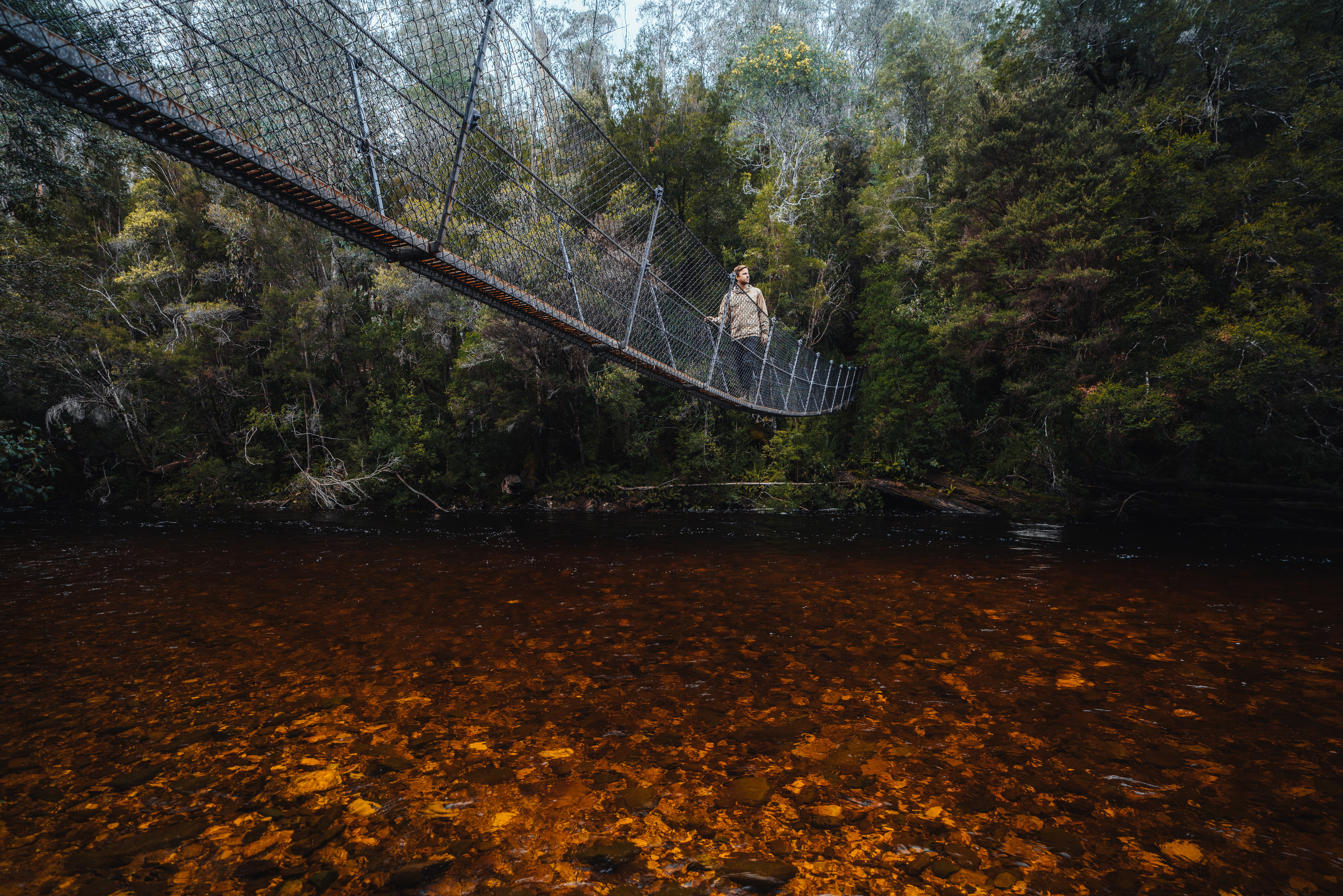 A woman walks across a bridge over the Franklin River, Frenchman's Cap Track