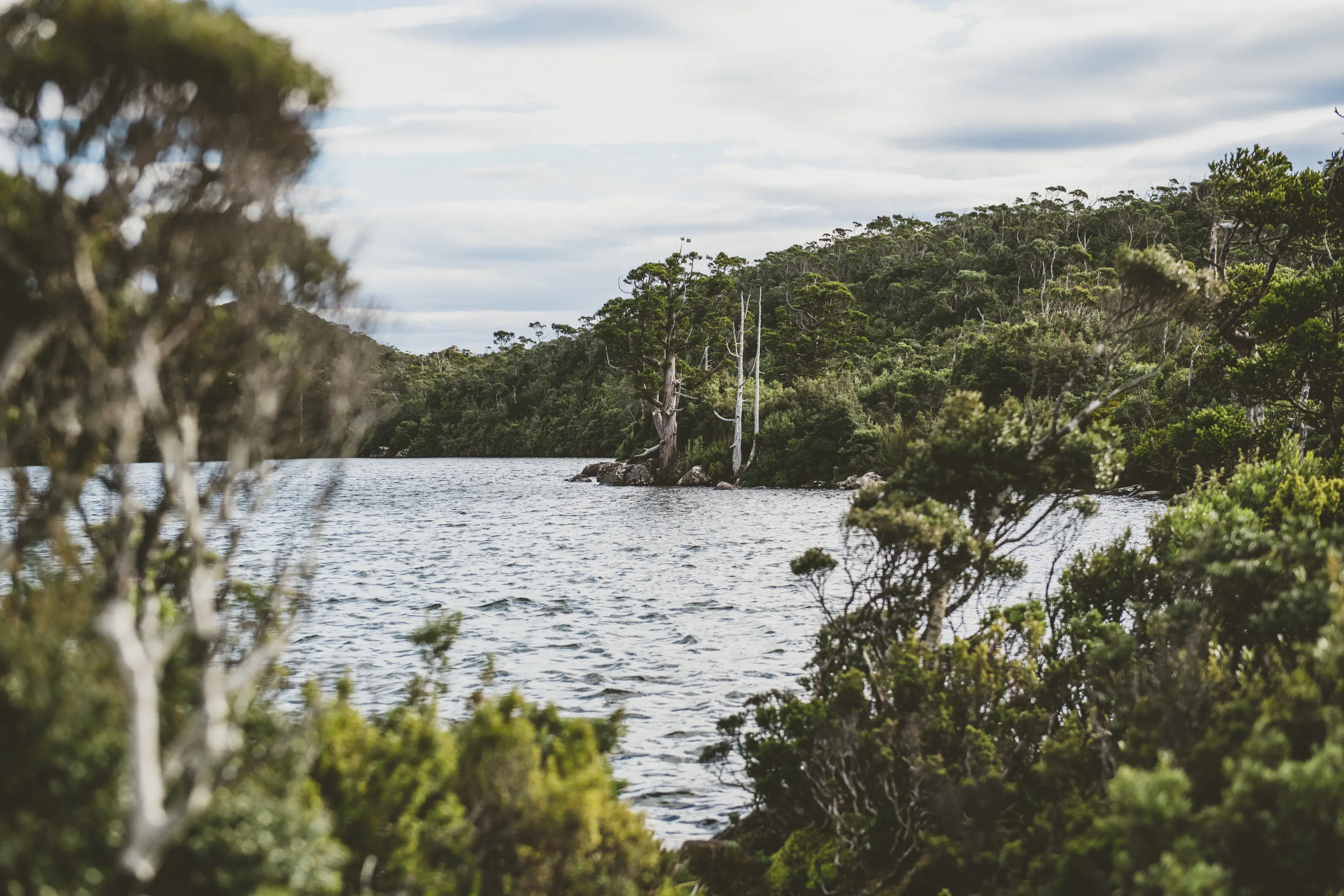 "Dramatic image of Lake Osborne, located in Hartz Mountains National Park, surrounded by lush bushland. "