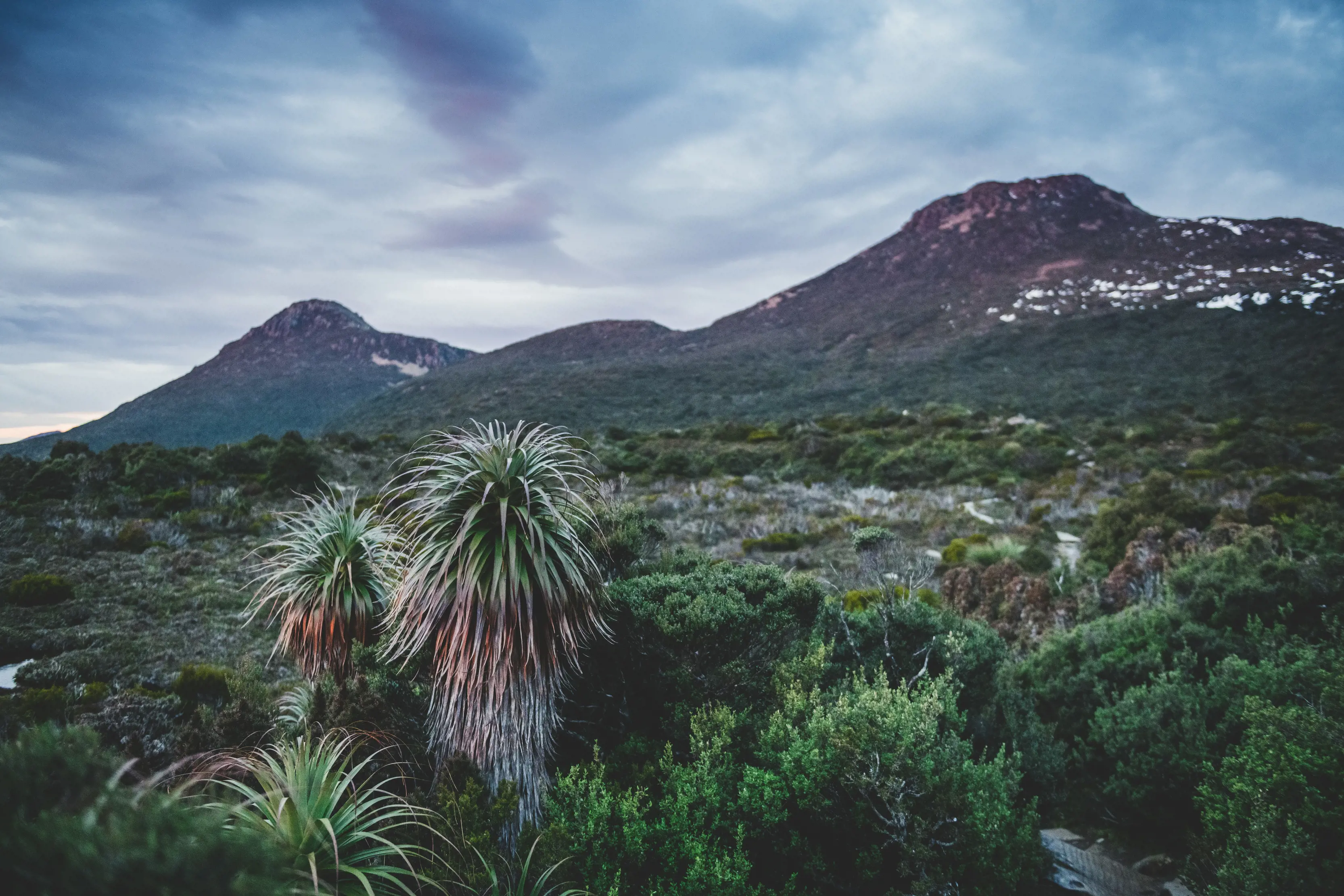 Spectacular image of the landscape on Hartz Peak Walk, Hartz Mountains National Park. Surrounded by lush greenery and mountains.