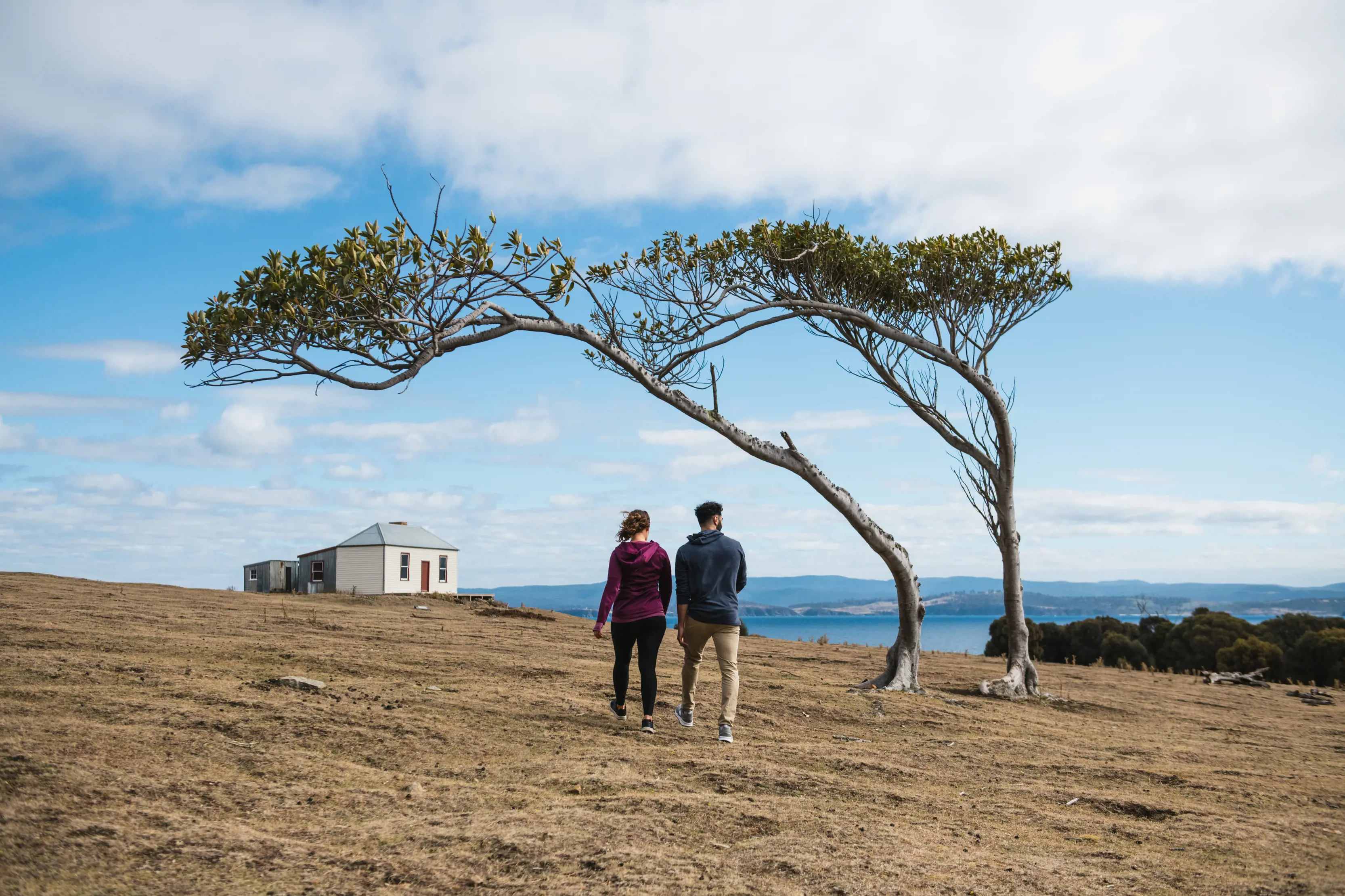 Couple walking over a hill, under a tree, towards the Mrs Hunt’s Cottage in the distance, on a clear, sunny day.