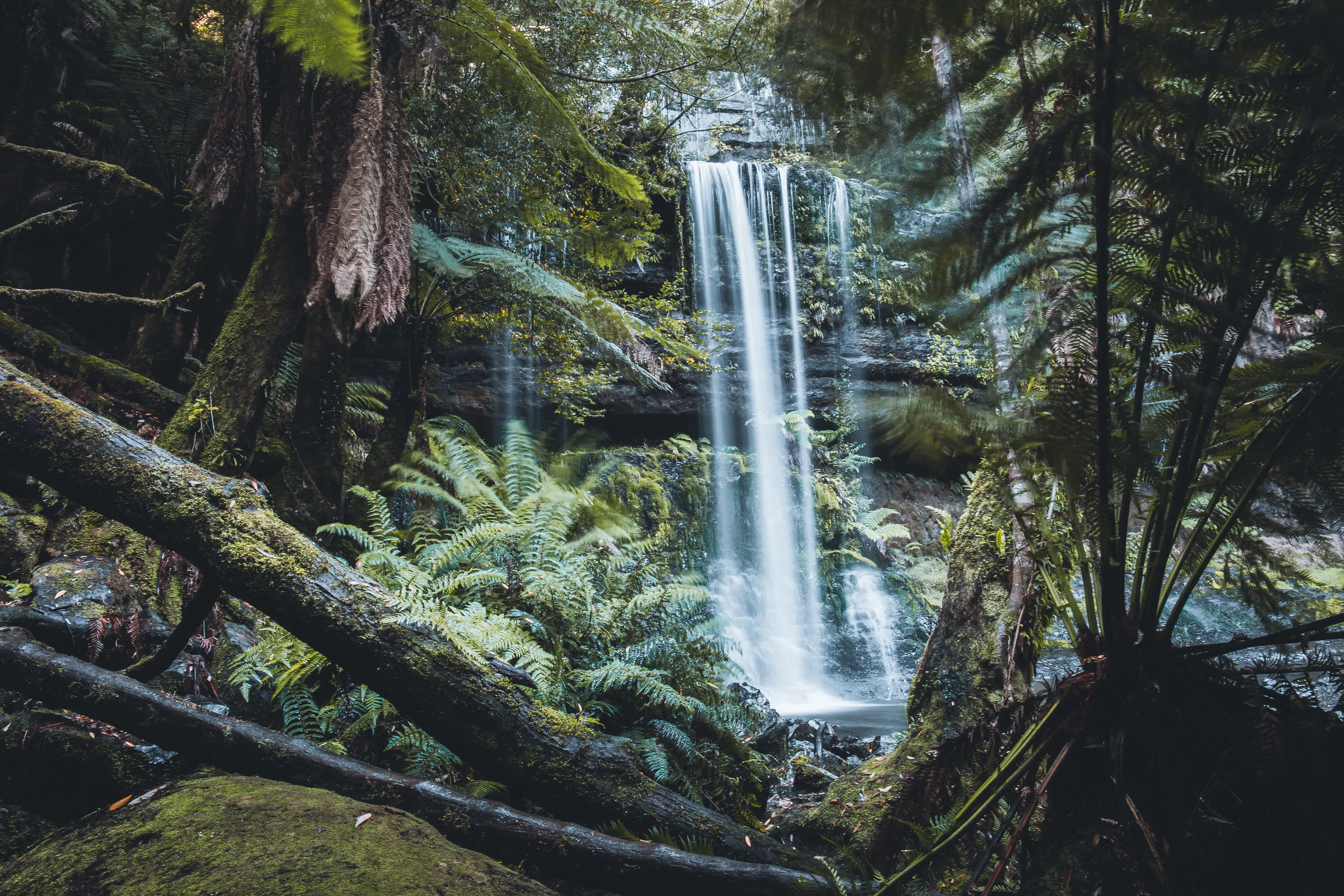 View of Russell Falls from behind the trees at Mt Field National Park