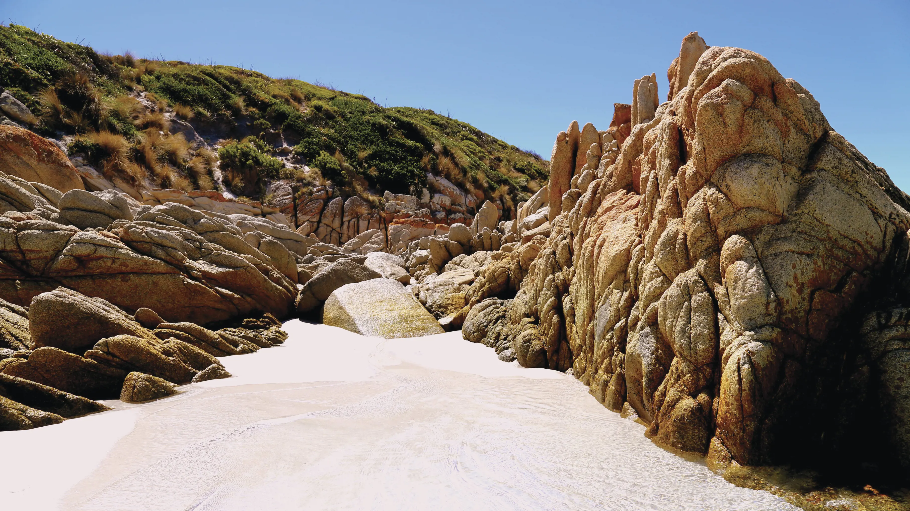 Mount William National Park coastline