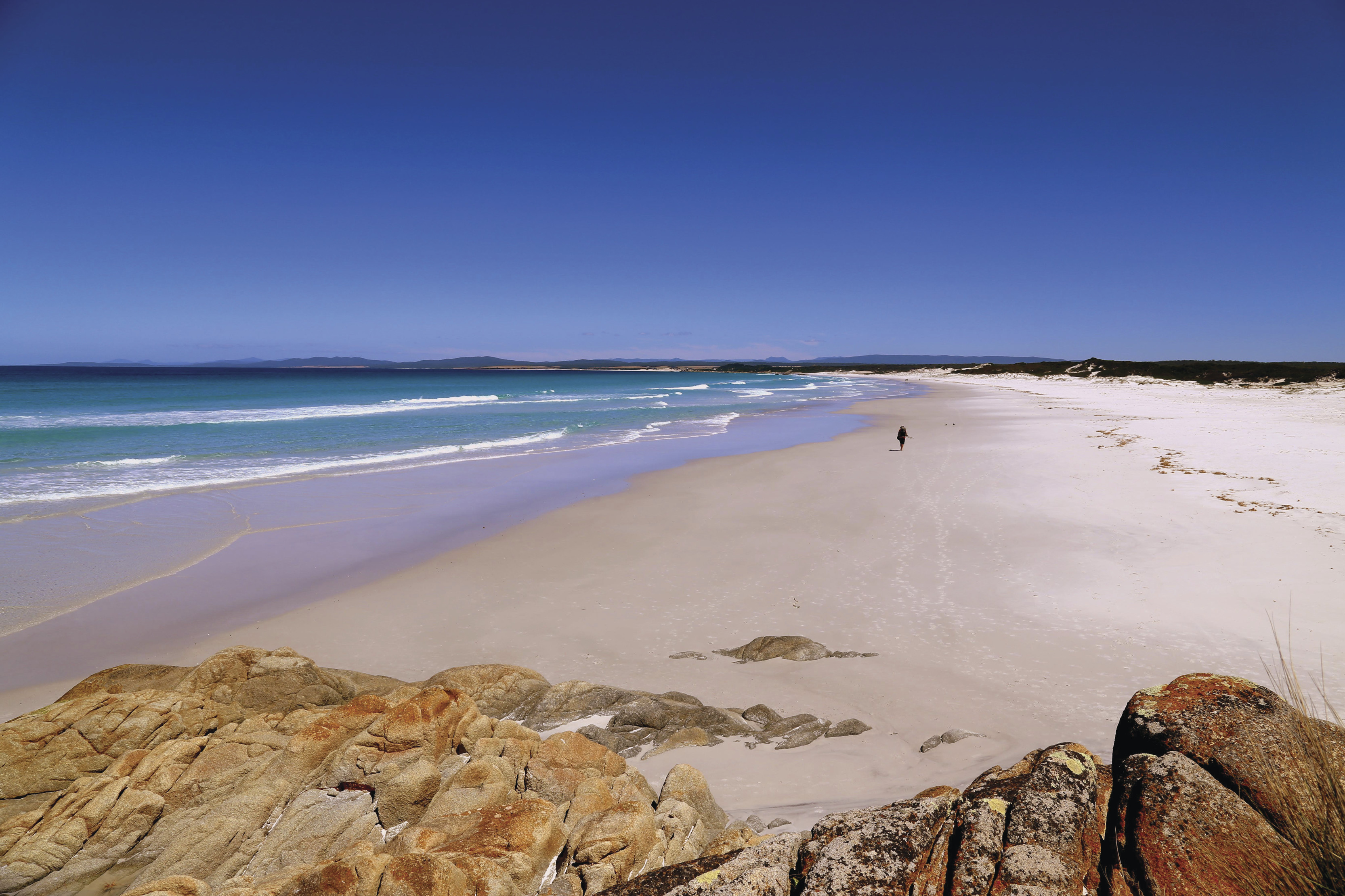 A person looks small against the vast landscape, walking along at empty beach at Bay of Fires Lodge Walk.
