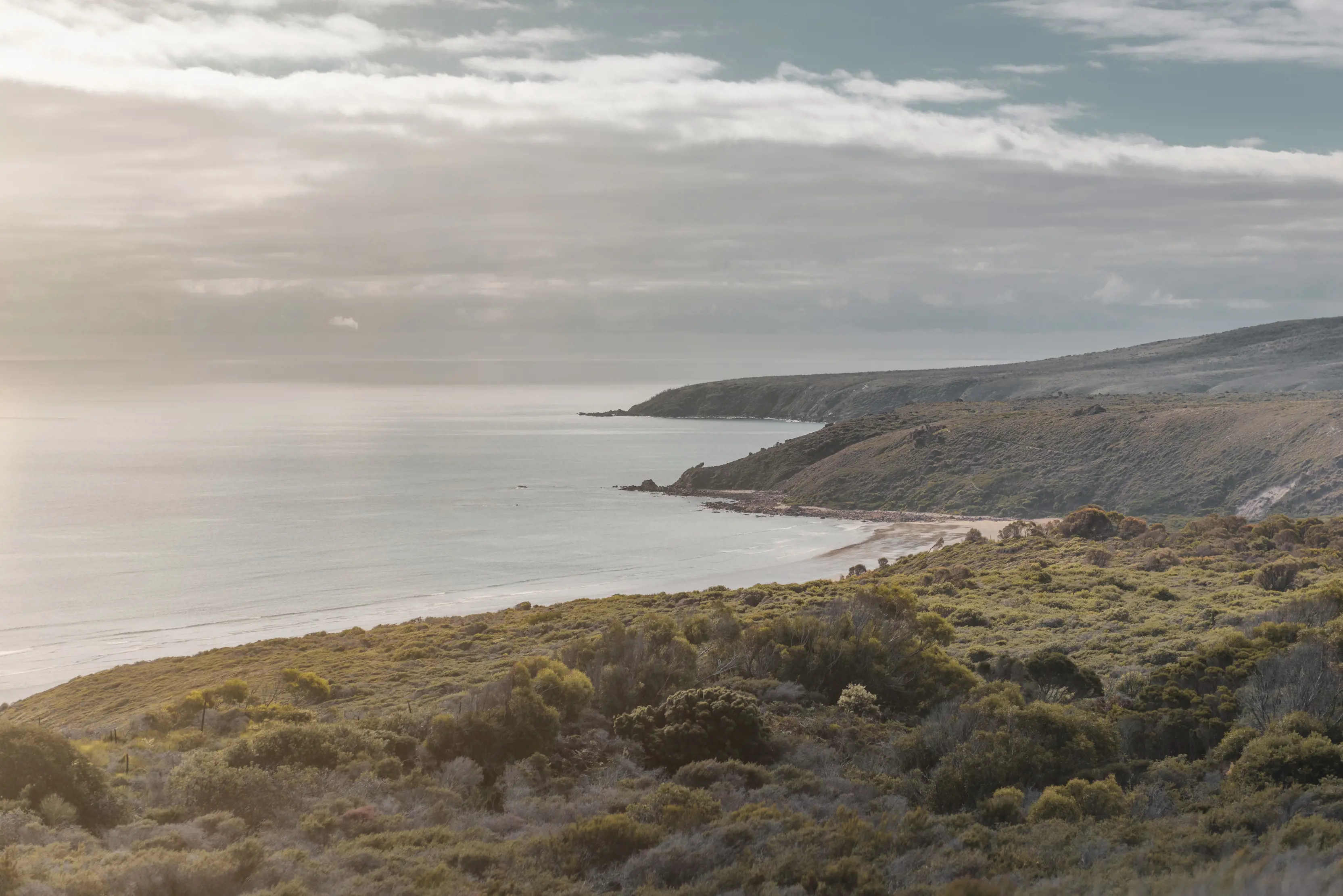 Vibrant sunrise over the landscape of Archers Knob, Narawntapu National Park. Surrounded by lush greenery, meeting the coastline.