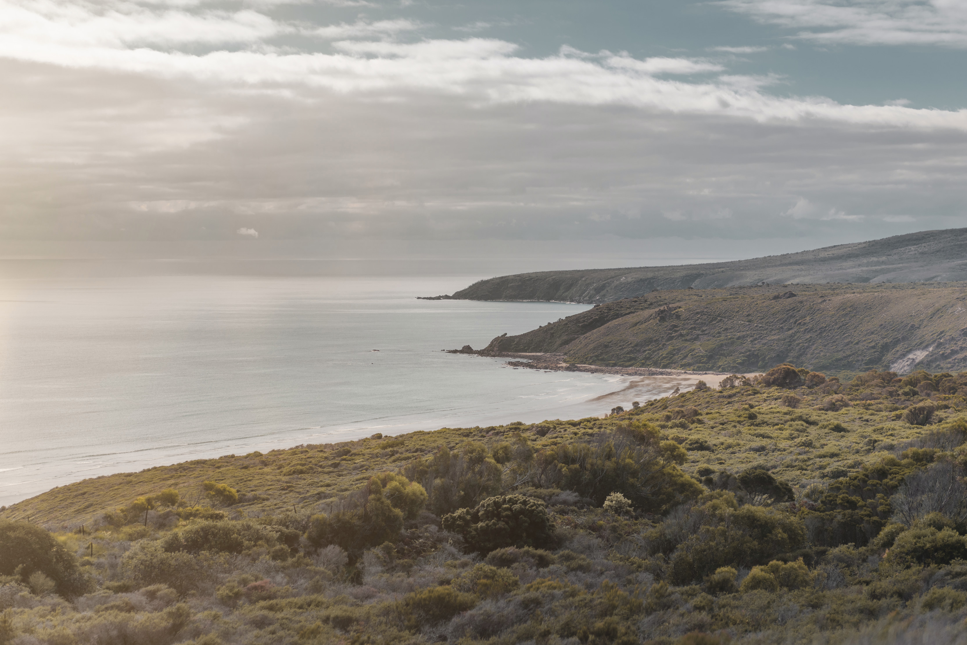 Narawntapu National Park Discover Tasmania