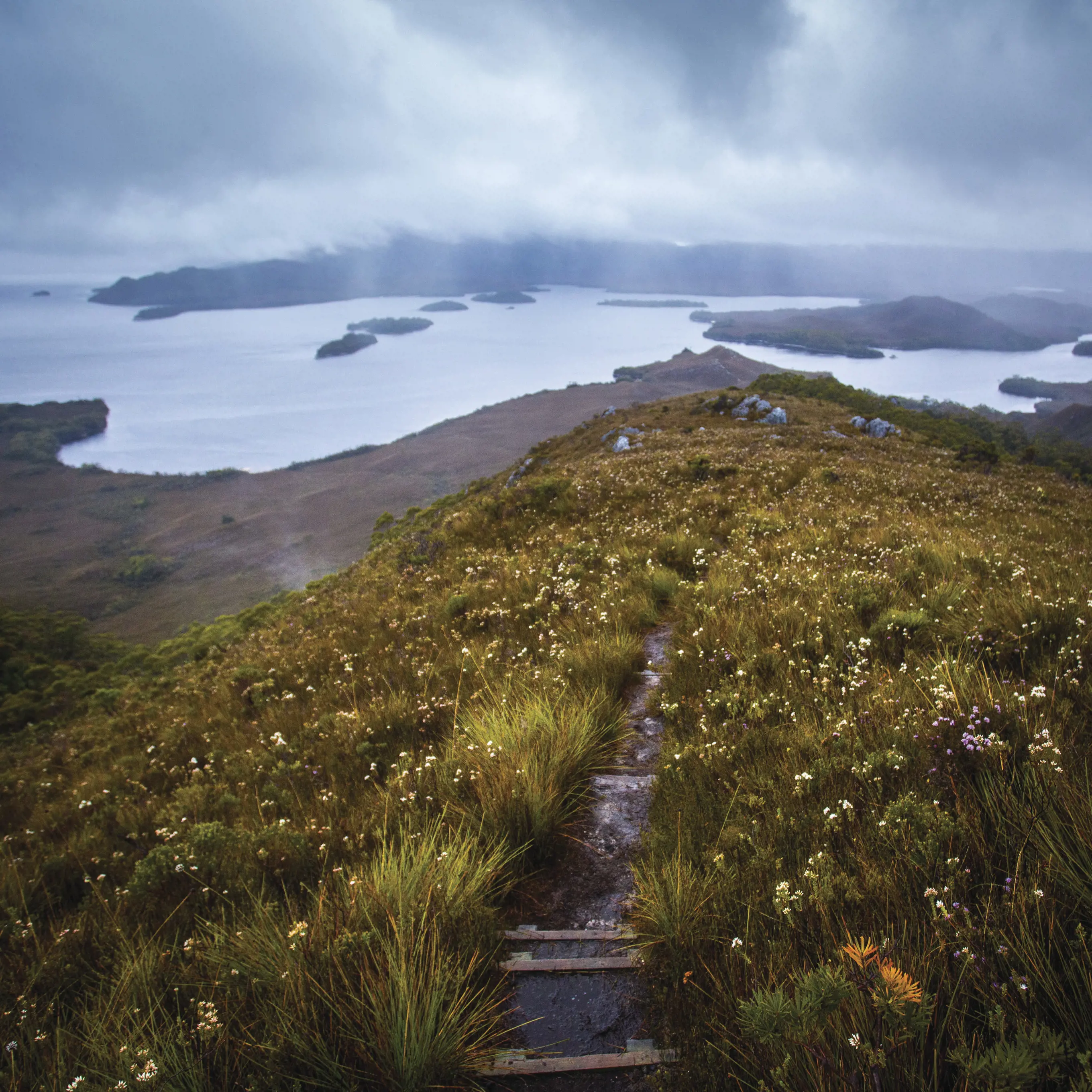 Stunning landscape image of the Bathurst Harbour. With vast untouched wilderness and pristine ocean. 