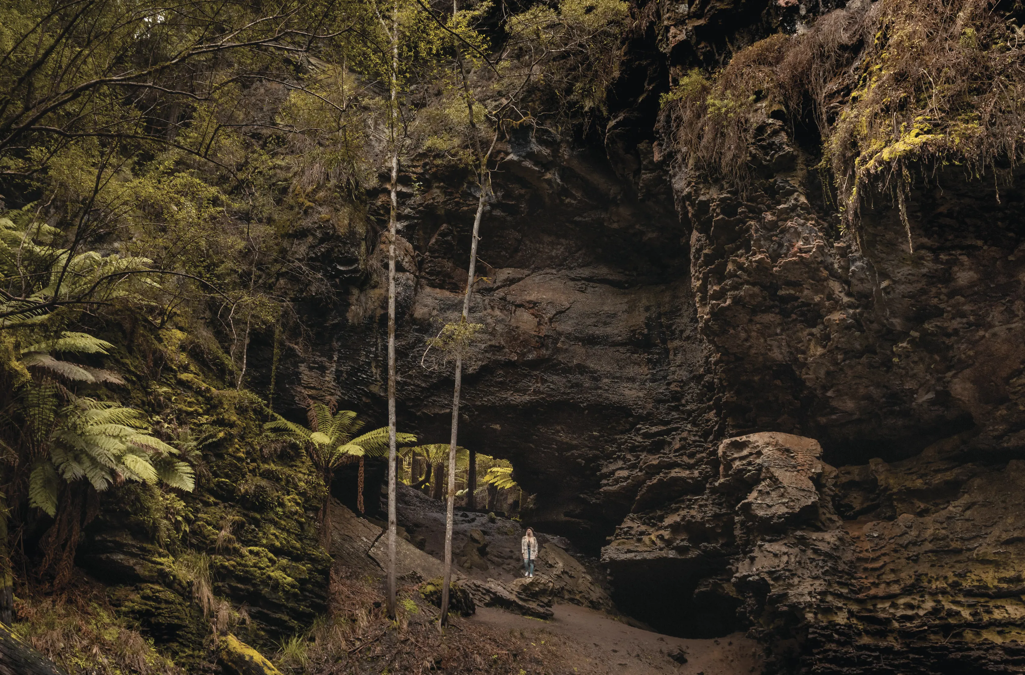 Wide image of a person standing under the Trowutta Arch, surrounded by large rock faces and lush, green forest.