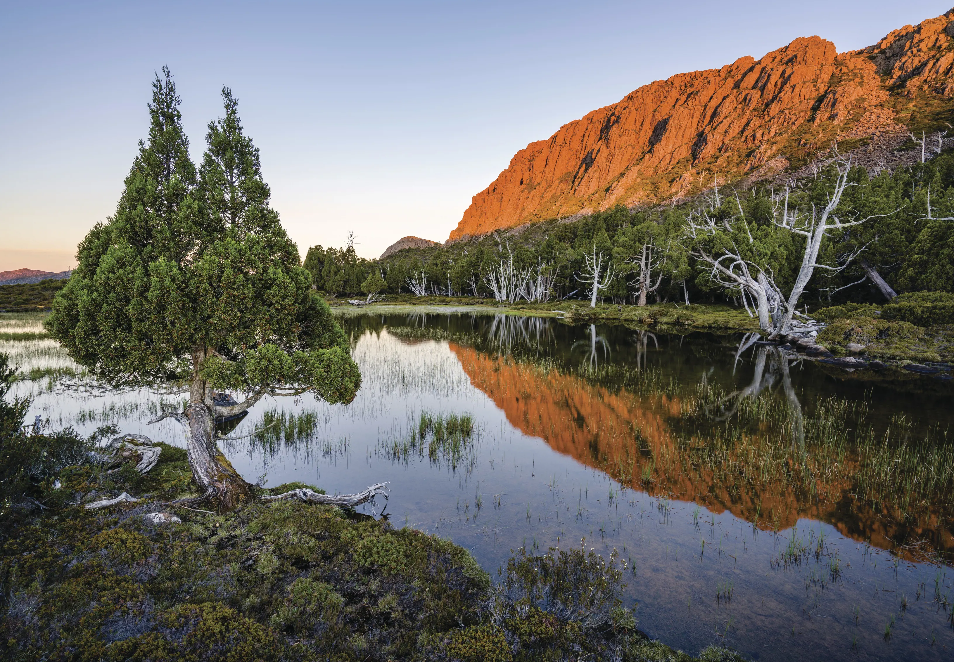 Dramatic and vibrant image of a creek and lush trees near the Walls of Jerusalem National Park, during sunrise.
