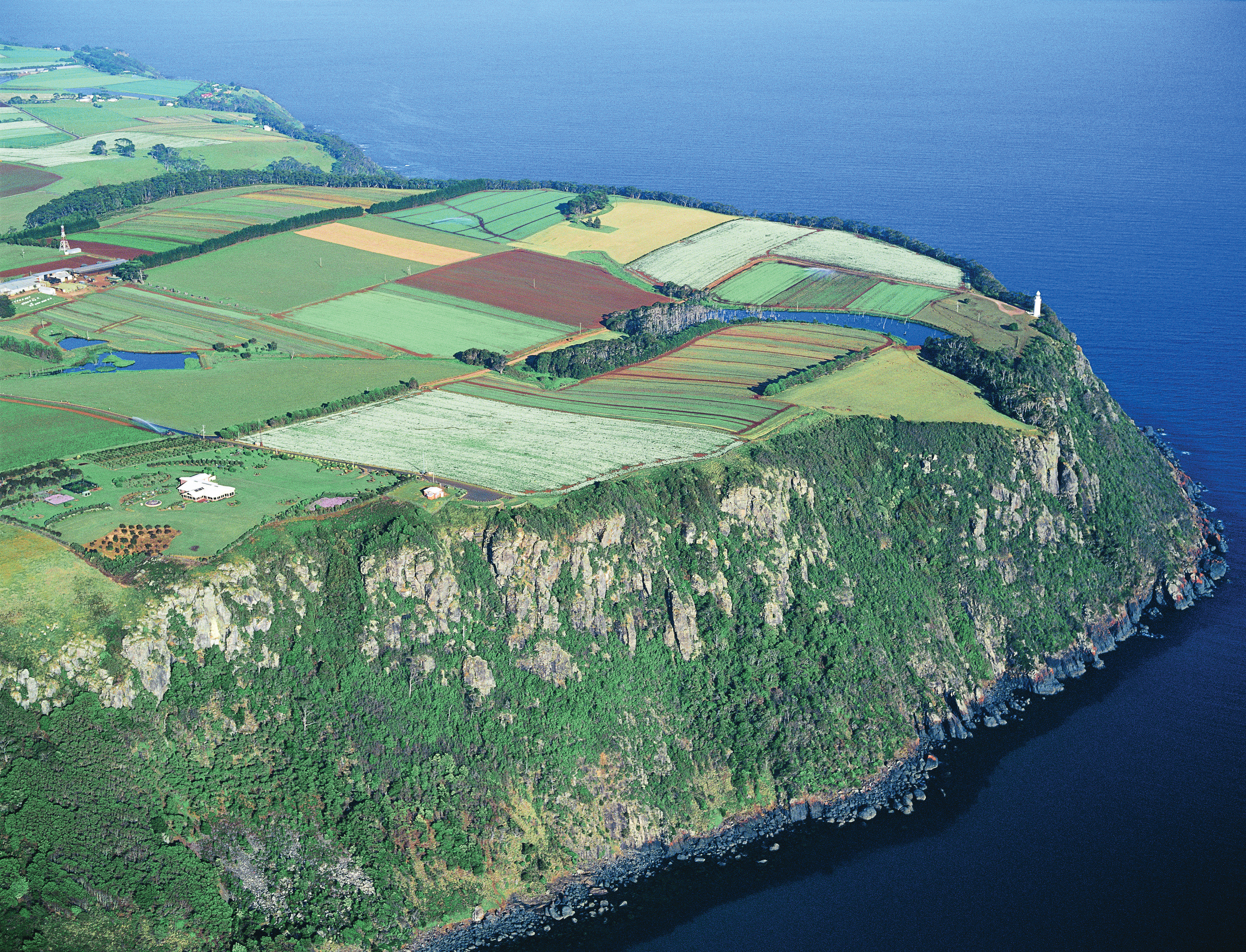An incredible aerial view of the Table Cape. A variety of coloured patchwork fields fill the area, with a lighthouse on the edge of the Table Cape.